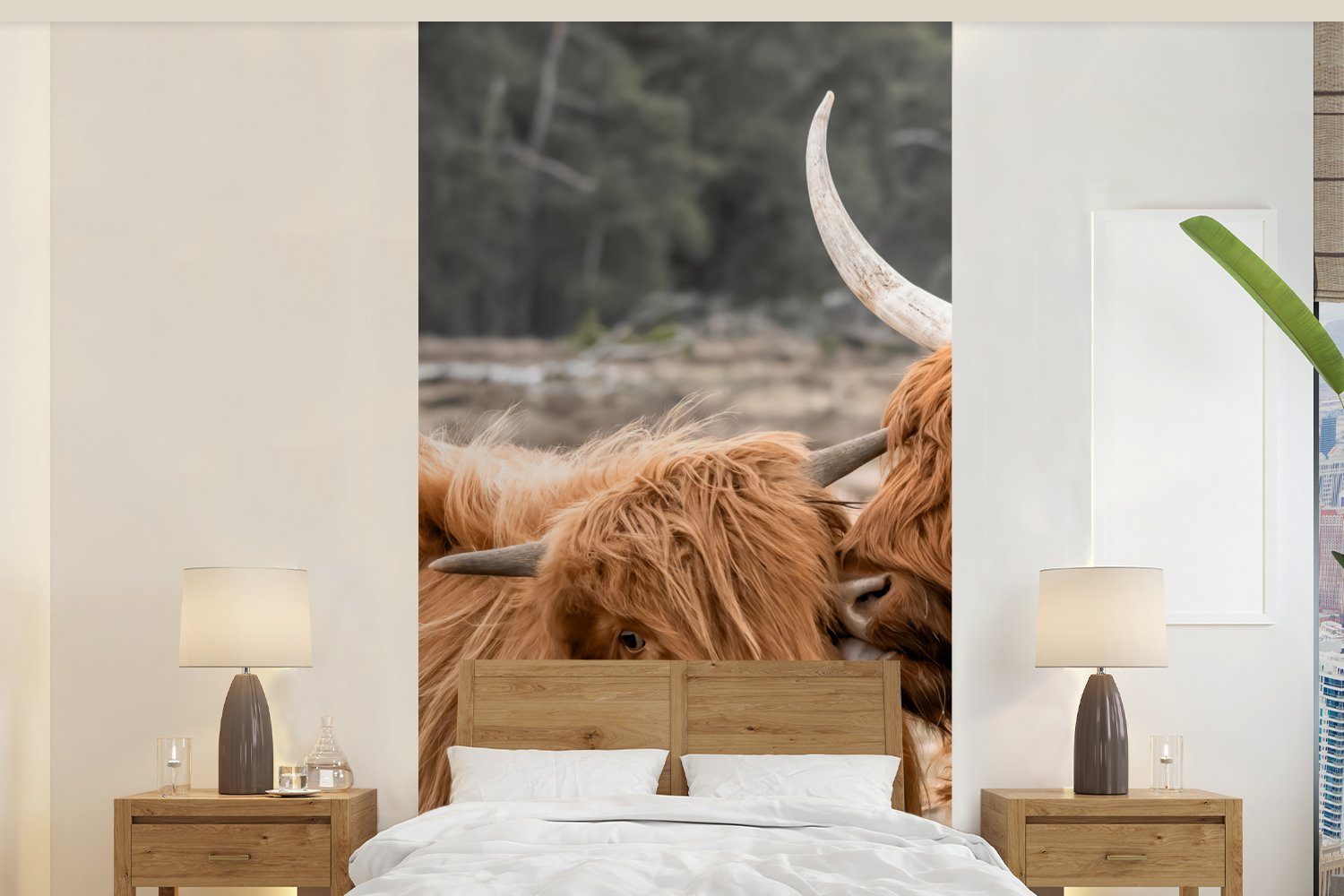 MuchoWow Fototapete bedruckt, Schlafzimmer (2 Matt, - Porträt, St), Fototapete Schottischer für - Highlander Wohnzimmer Liebe Vliestapete Küche,