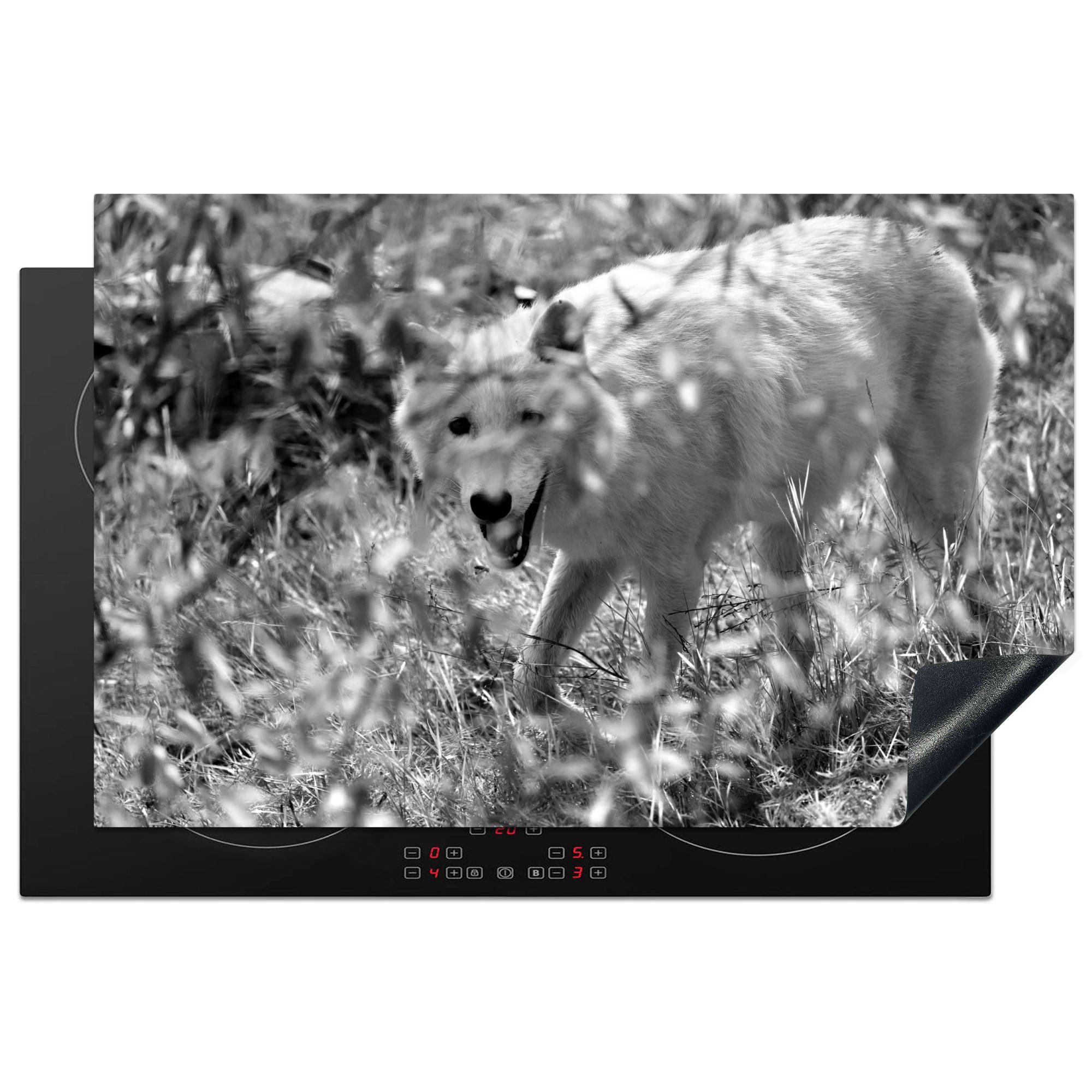 MuchoWow Herdblende-/Abdeckplatte Weißer Wolf im Gras in Schwarz und Weiß, Vinyl, (1 tlg), 81x52 cm, Induktionskochfeld Schutz für die küche, Ceranfeldabdeckung