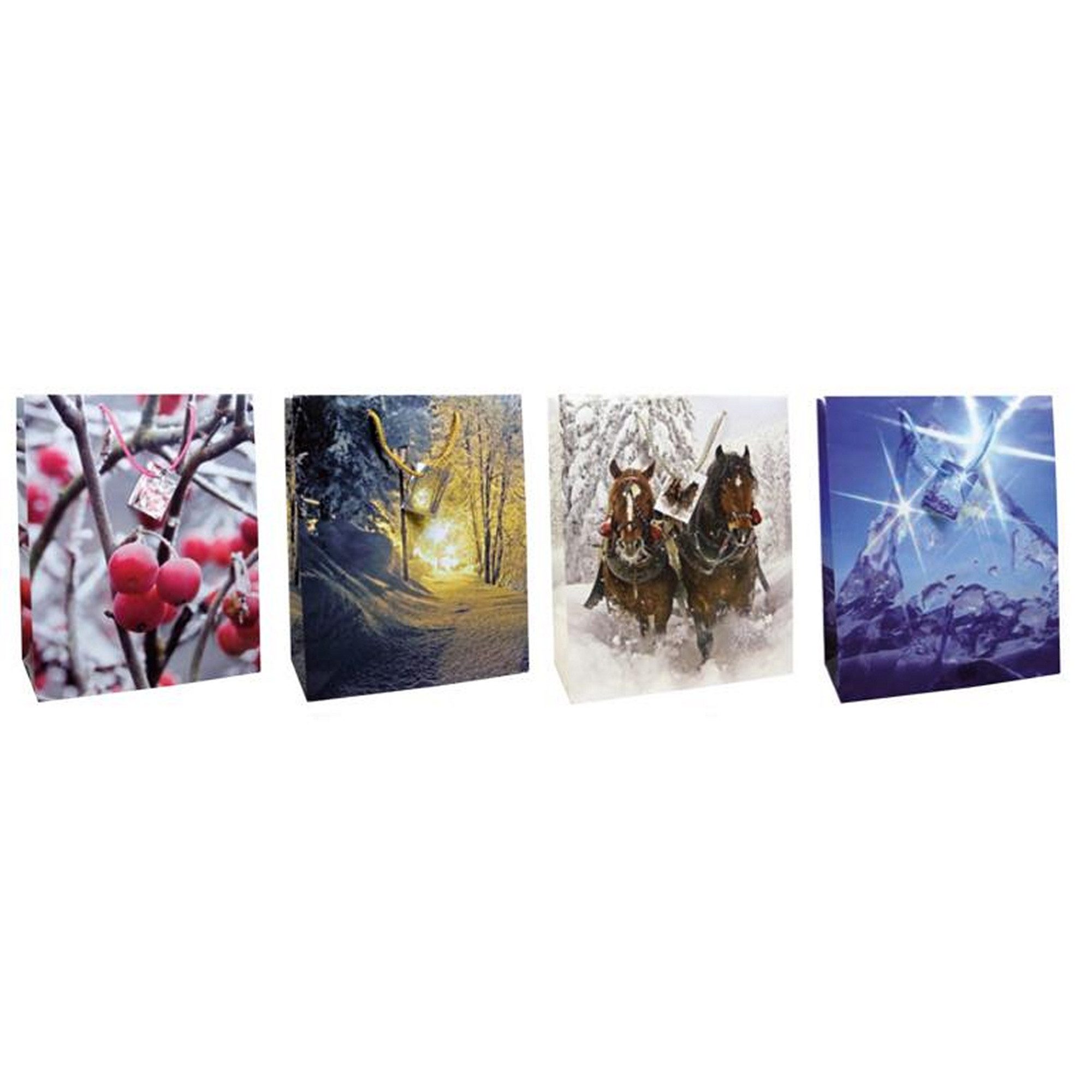 Aufbewahrungsbox 12 Geschenktaschen / Geschenkbeutel / Geschenktüten / Maße: 327x264x1