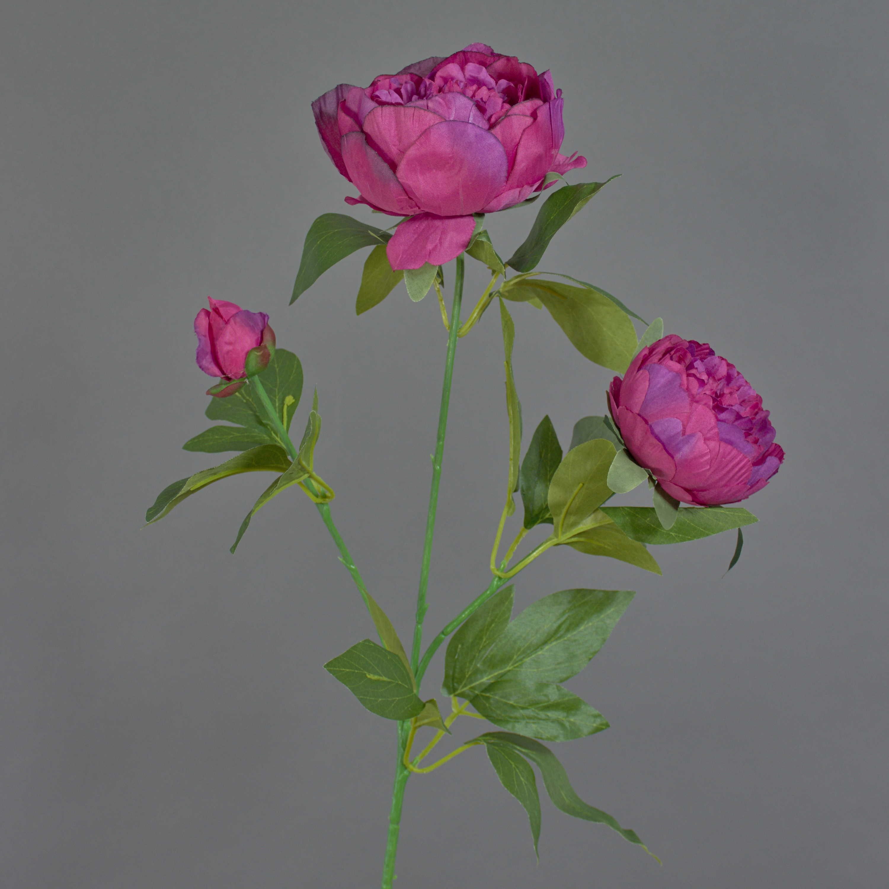 Kunstzweig Pfingstrose MEIRU, dunkelviolett, 70 cm Pfingstrose, artplants, Höhe 70.0 cm