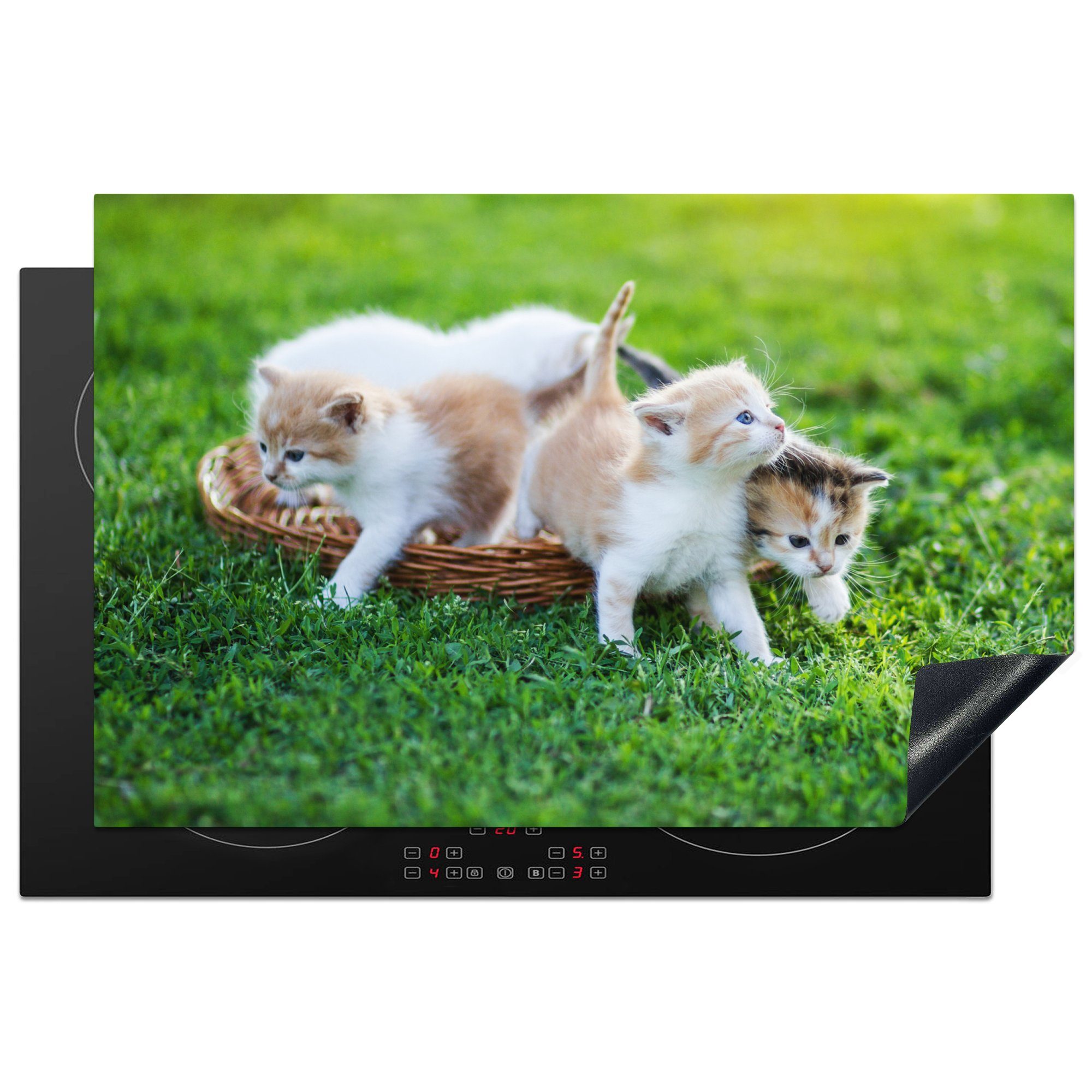 MuchoWow Herdblende-/Abdeckplatte Nahaufnahme von Kätzchen in einem Korb, Vinyl, (1 tlg), 81x52 cm, Induktionskochfeld Schutz für die küche, Ceranfeldabdeckung