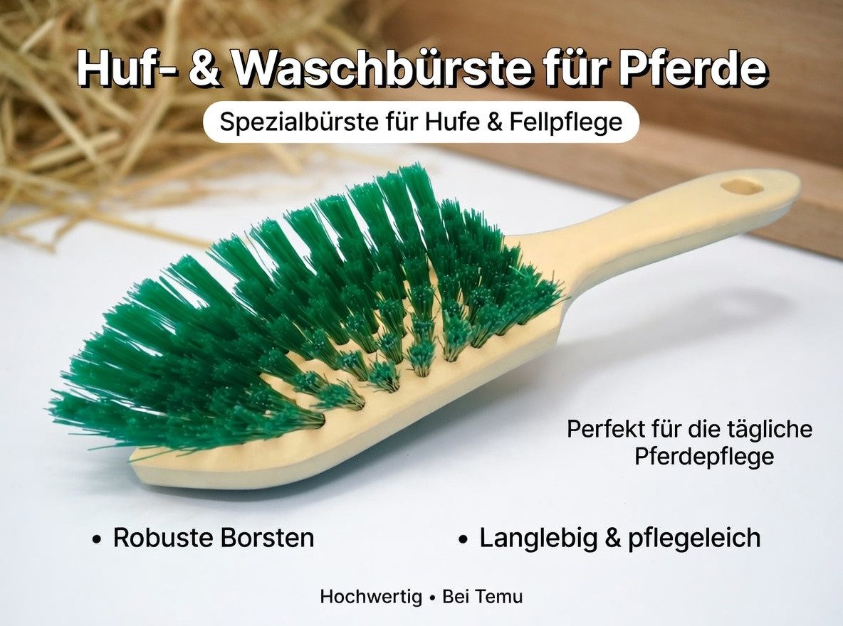 BÜMAG Reinigungsbürste Huf- und Waschbürste Kunststoff, Spitzkopf mit Stiel, 1 Stück