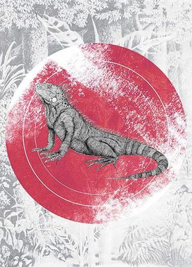 Komar Poster Iguana Circle, Tiere (1 St), Kinderzimmer, Schlafzimmer, Wohnzimmer