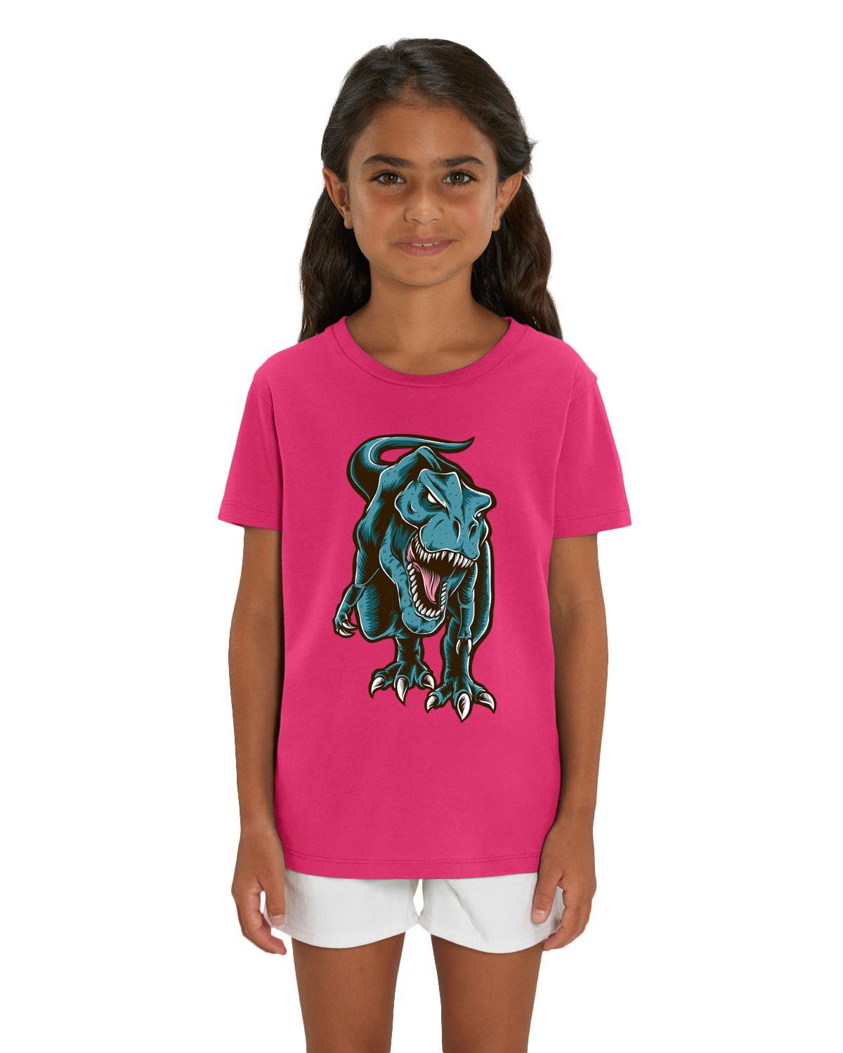 Hilltop Print-Shirt »Hochwertiges Kinder T-Shirt mit Dinosaurier, T-Rex  100% Bio Baumwolle« online kaufen | OTTO