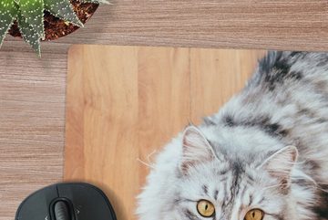 MuchoWow Gaming Mauspad Maine Coon Katze schaut auf (1-St), Mousepad mit Rutschfester Unterseite, Gaming, 40x40 cm, XXL, Großes