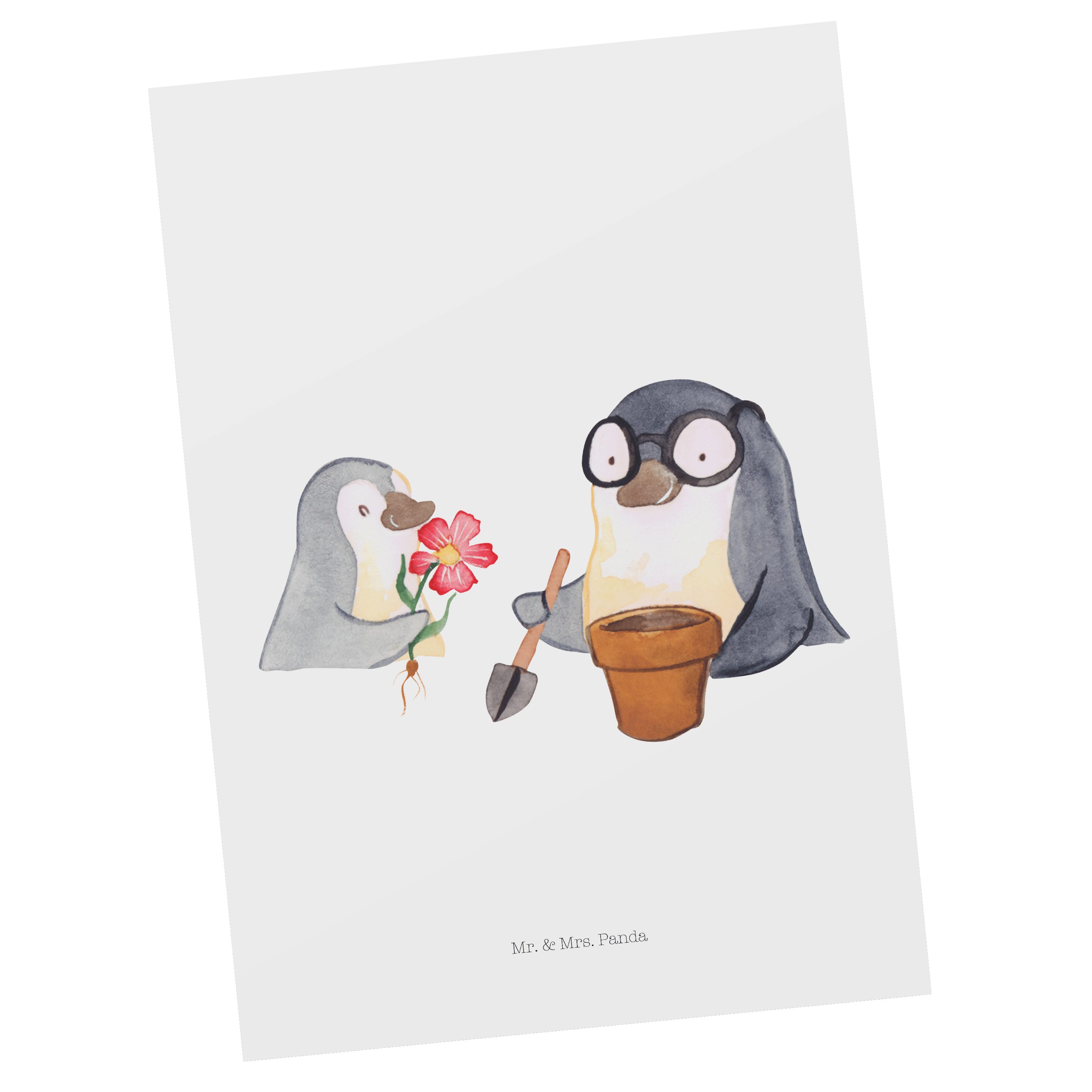 & Mrs. Mama, Großvater, Mr. Gärtn - Opa Geschenk, pflanzen Panda Blumen Postkarte - Pinguin Weiß