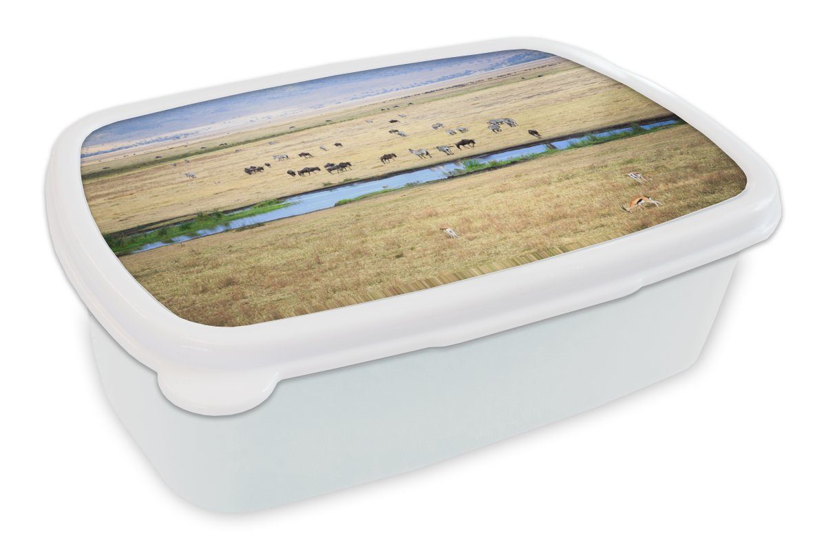 MuchoWow Lunchbox Tiere - Safari - Wild, Kunststoff, (2-tlg), Brotbox für Kinder und Erwachsene, Brotdose, für Jungs und Mädchen weiß