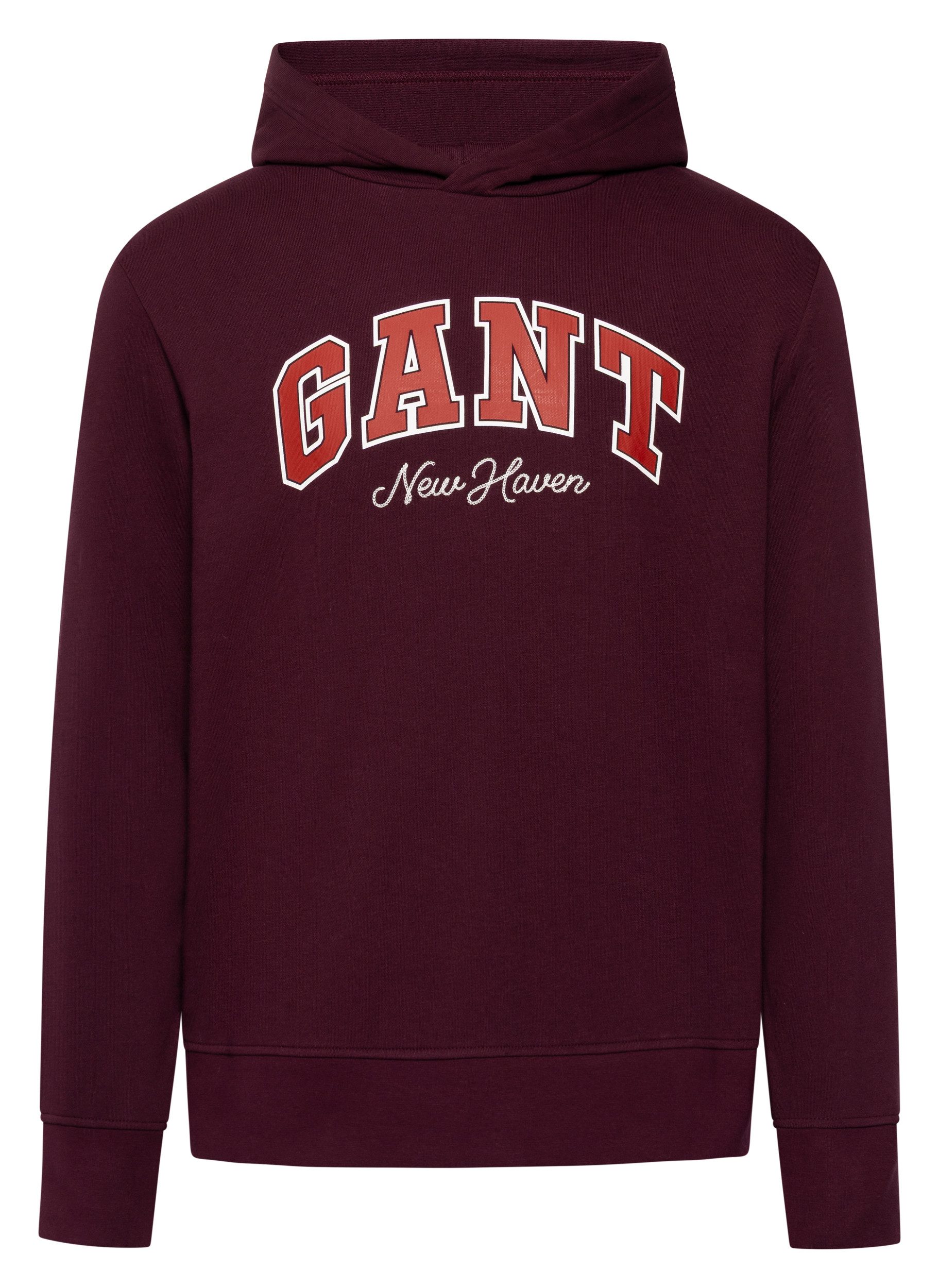 Gant Hoodie GRAPHIC