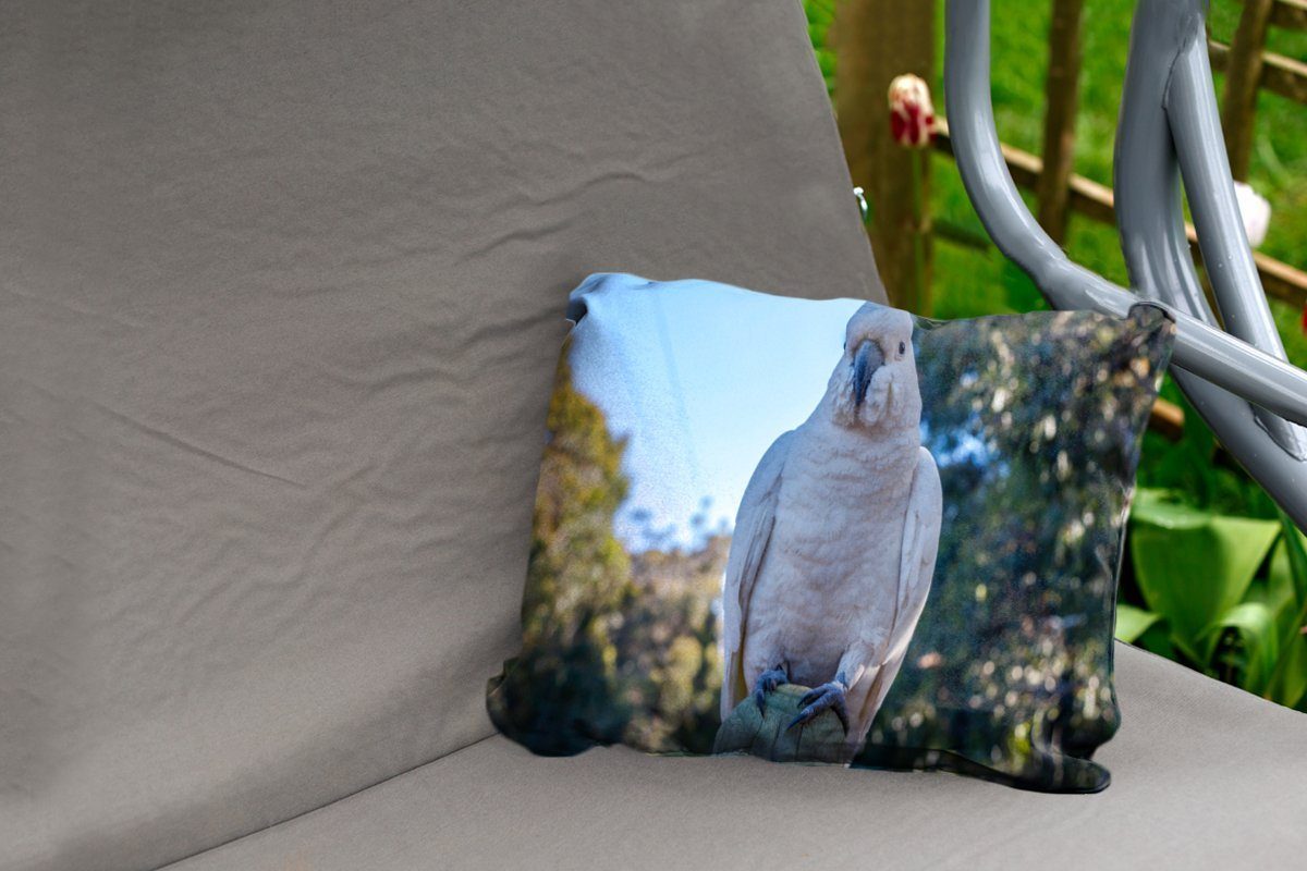 Outdoor-Dekorationskissen, direkt die weißer Kakadu Dekokissenbezug, Ein MuchoWow Polyester, schaut Kamera, Kissenhülle in Dekokissen