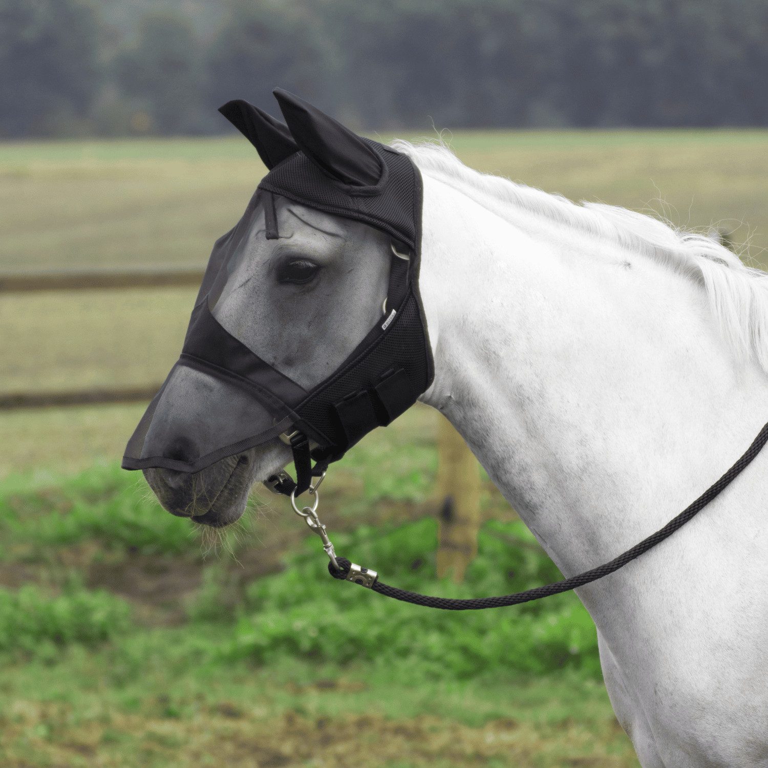 BUSSE Fliegenmasken Fliegenmaske Fly Cover Pro