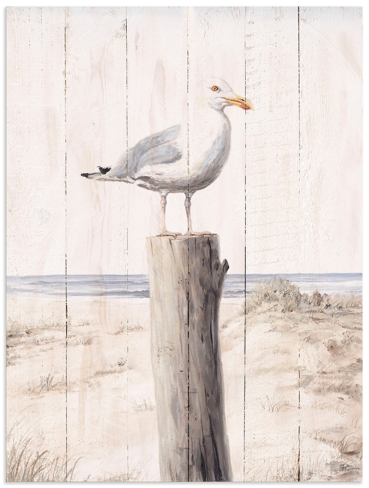 OTTO home Wandbild Möwe mit Holzoptik, Vogelbilder (1 St)