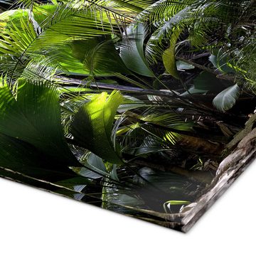 Posterlounge Acrylglasbild Thomas Herzog, Dschungelpfad, Badezimmer Natürlichkeit Fotografie