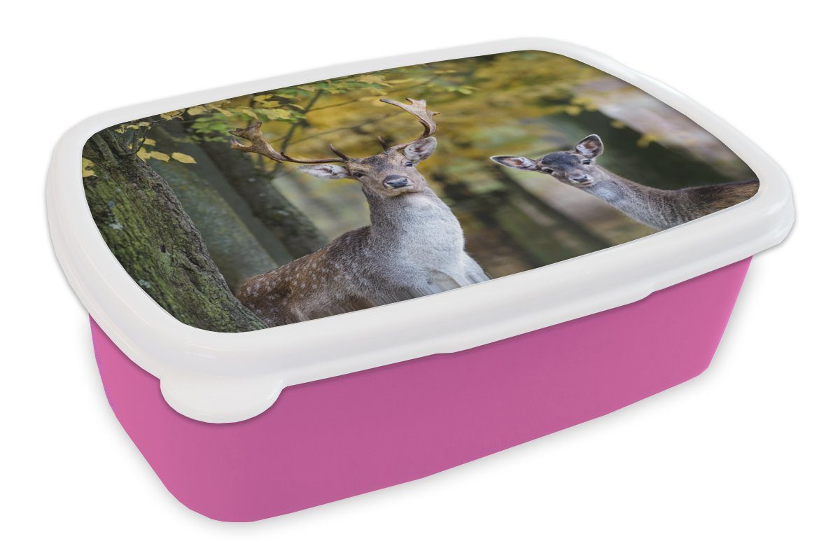 Snackbox, Mädchen, Kinder, Kunststoff, Lunchbox - Kunststoff Brotbox Hirsche Brotdose für (2-tlg), rosa - Baum, Tiere Erwachsene, MuchoWow