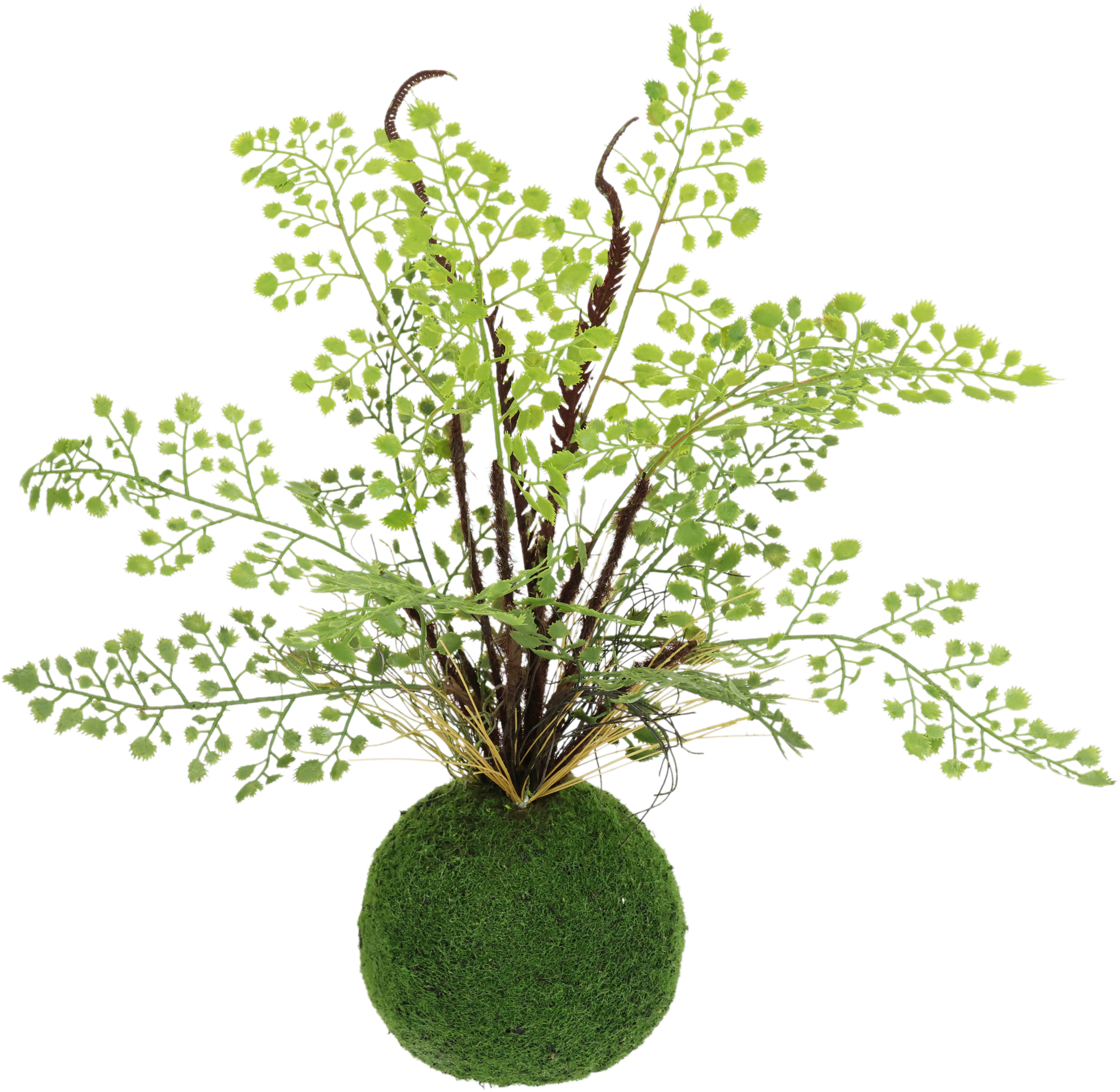 Kunstpflanze Farnbusch auf Mooskugel, I.GE.A., Höhe 33 cm, Künstliche Pflanze Waldfarn