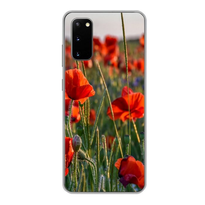 MuchoWow Handyhülle Blumen - Mohnblumen - Natur - Rot Phone Case Handyhülle Samsung Galaxy S20 Silikon Schutzhülle