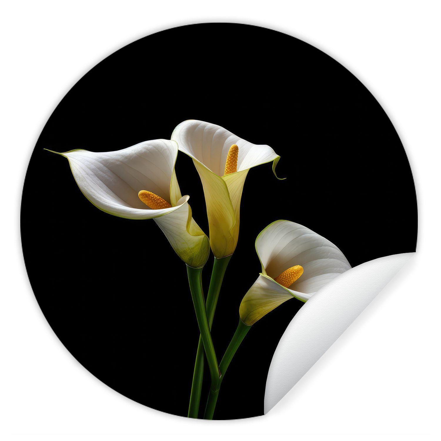 MuchoWow Wandsticker Pflanzen - Blumen - Weiß - Natur - Botanisch (1 St), Tapetenkreis für Kinderzimmer, Tapetenaufkleber, Rund, Wohnzimmer