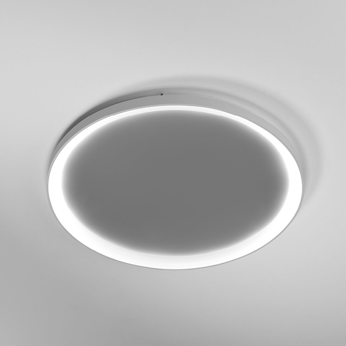Vivida International Deckenleuchten Vivida Lifering-R Deckenleuchte, Titanium, Ø: 78 cm, LED wechselbar, Warmweiß, Deckenlampe