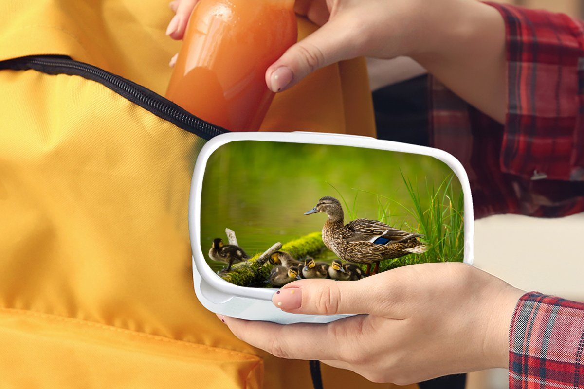 - Jungs Kunststoff, Erwachsene, und Kinder Vögel - - (2-tlg), weiß und Moos, Ente Wasser Lunchbox Brotbox für Mädchen MuchoWow für Zweig - Brotdose,