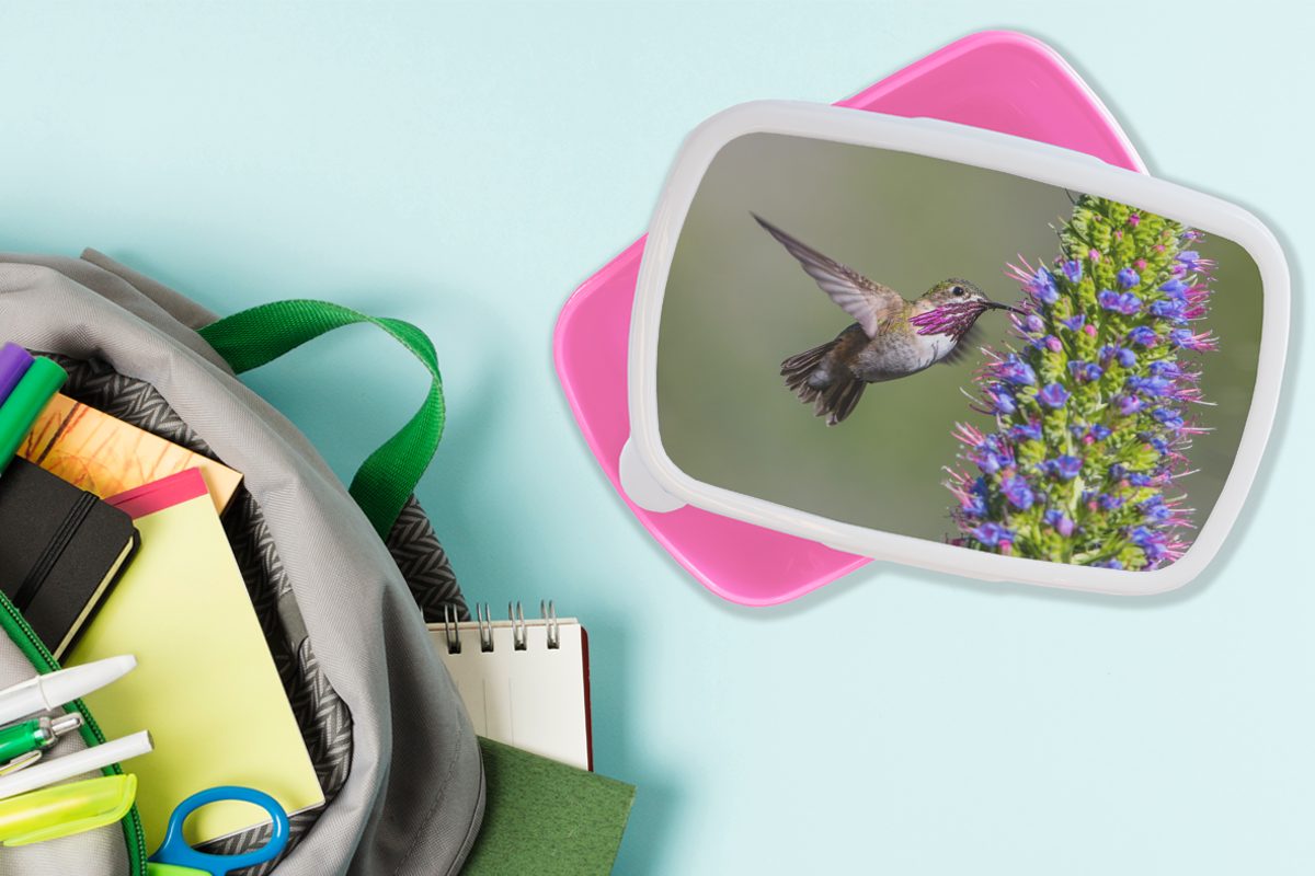 Kolibri für Kunststoff Erwachsene, Pflanze Kunststoff, Lila, Brotbox Snackbox, - (2-tlg), rosa MuchoWow Mädchen, Kinder, - Lunchbox Brotdose