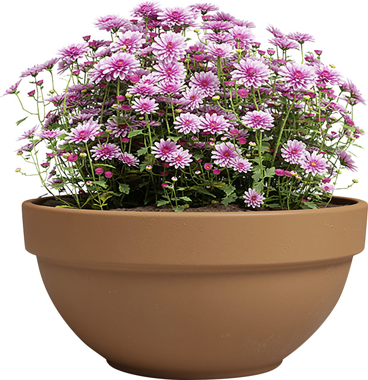 Artevasi Pflanzschale Artevasi Pflanzschale Amália Campana Terrakotta