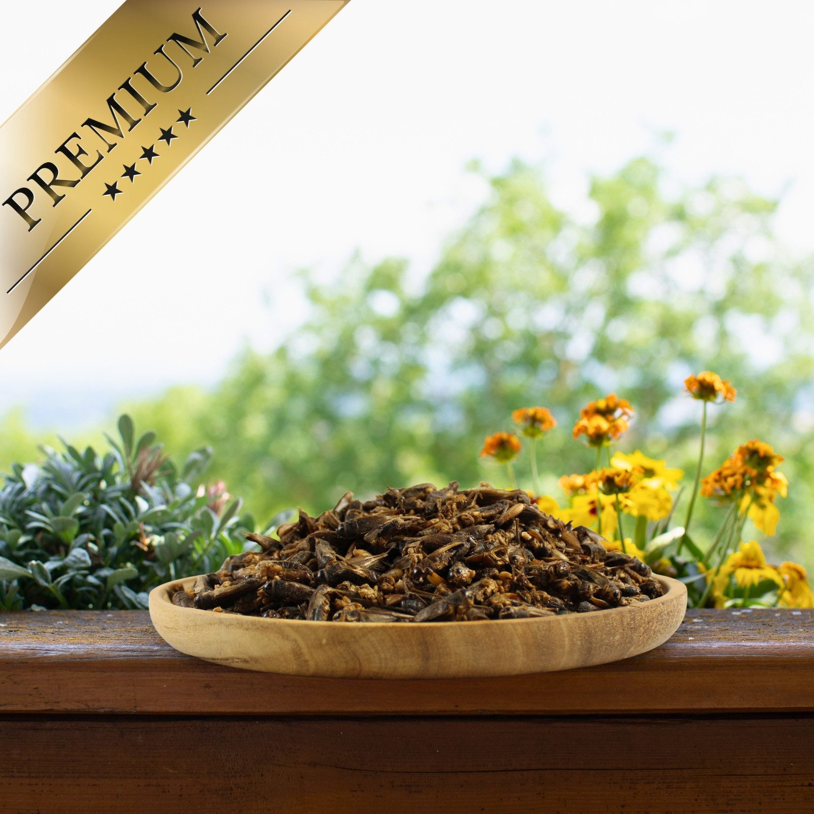 Lyra Pet 5 x 1 kg Lyra Pet® Insekten Probier Mix getrocknet, für: Reptilien, Nager, Haus- und Nutztier, Wildvogel, Fisch