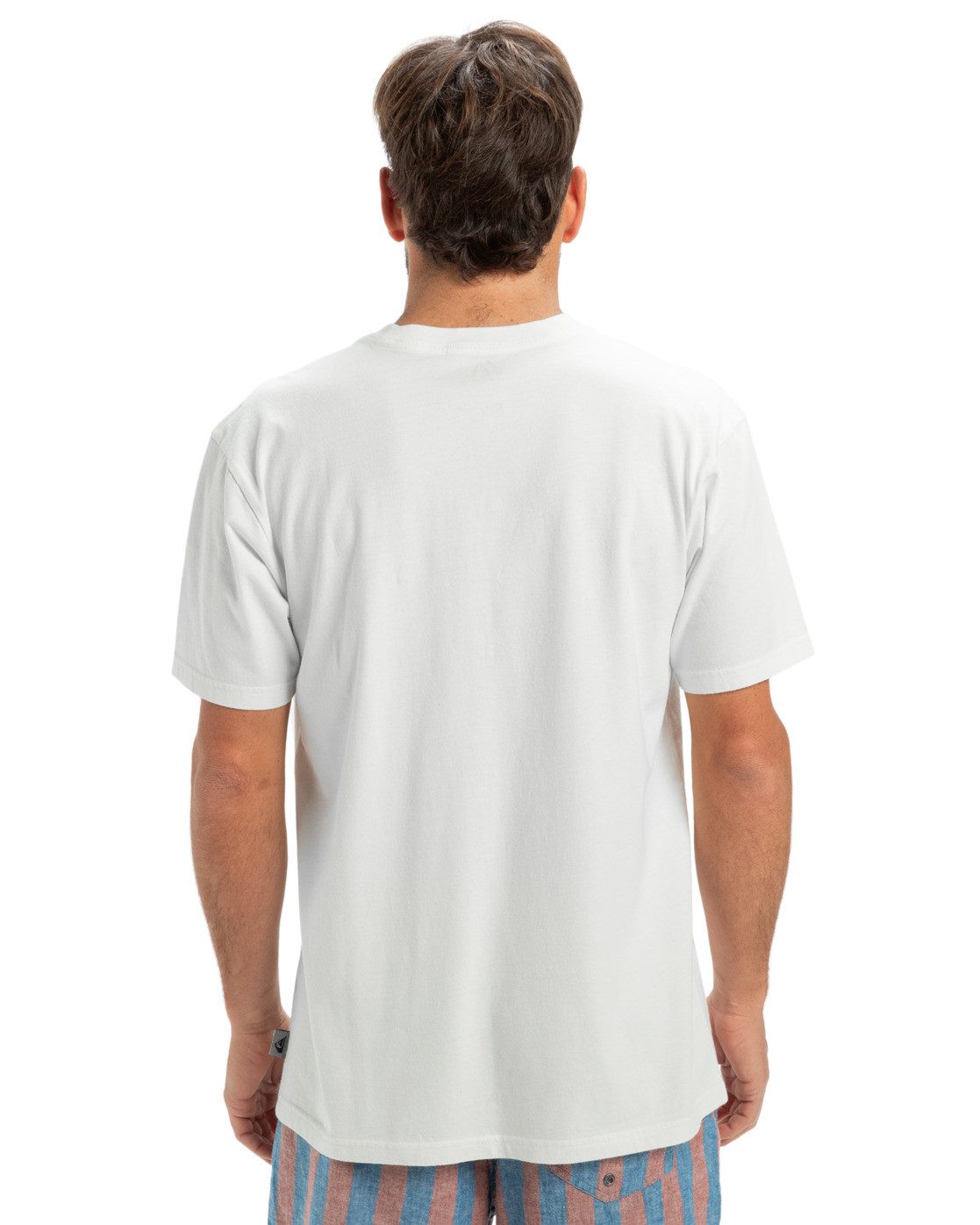 Quiksilver T-Shirt Salt Water günstig online kaufen