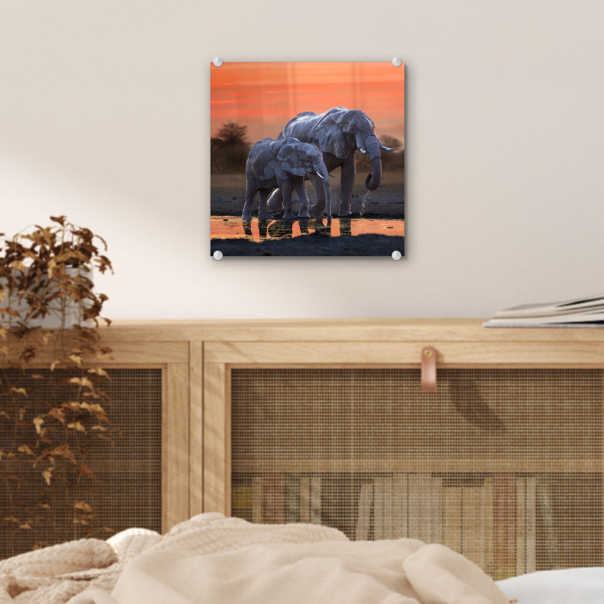 Sonnenuntergang Tiere Wandbild MuchoWow - Acrylglasbild Glasbilder auf Wasser - Wanddekoration Orange, - - - Elefant Foto Glas Bilder auf - (1 Glas St), -
