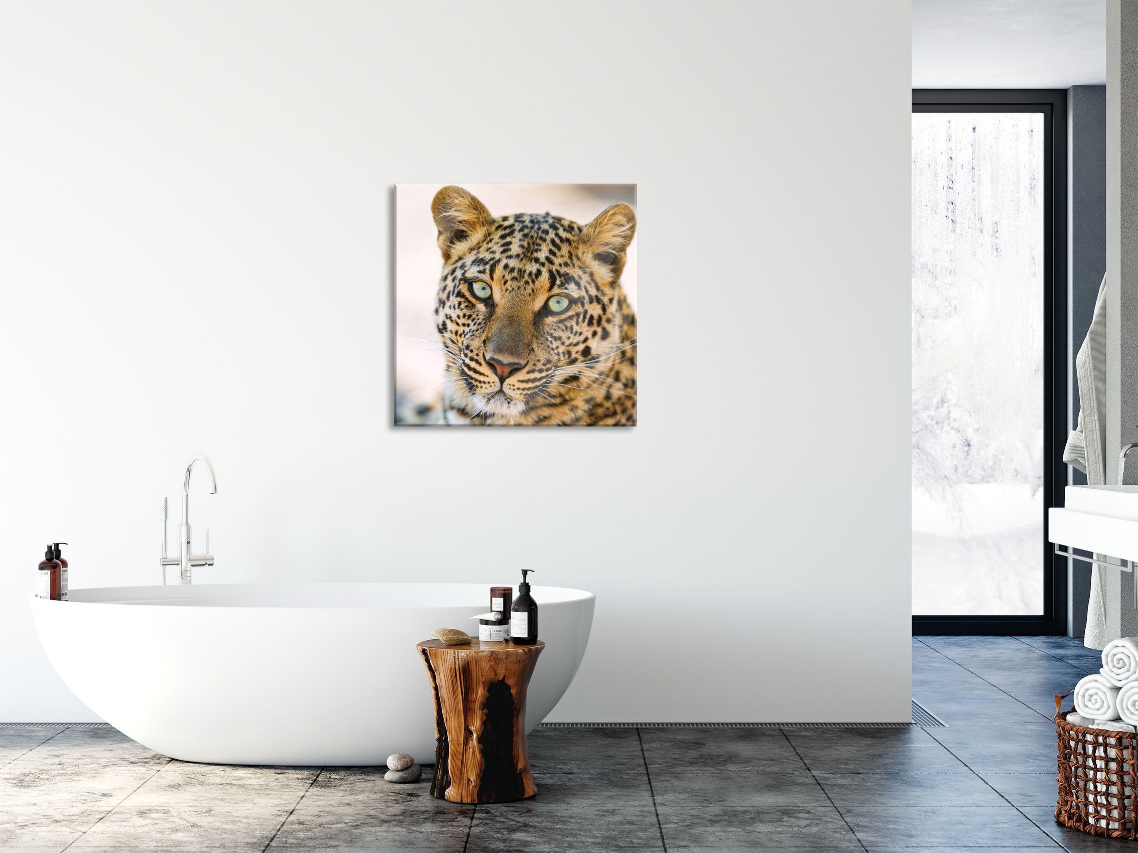 Leopard Glasbild aus St), Glasbild schöner inkl. (1 Aufhängungen und Echtglas, Pixxprint schöner Leopard, Abstandshalter