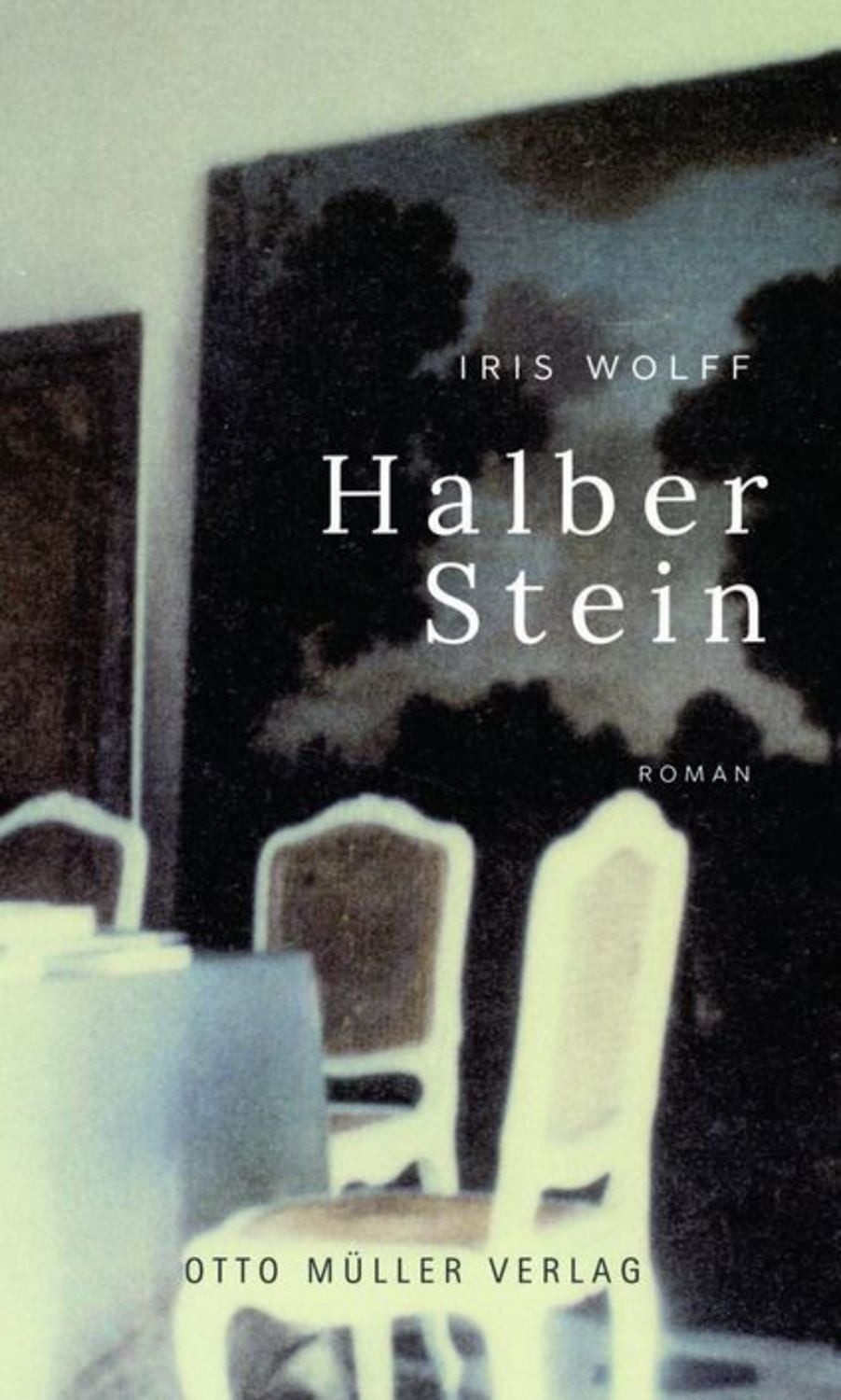 Halber Stein / Iris Wolff