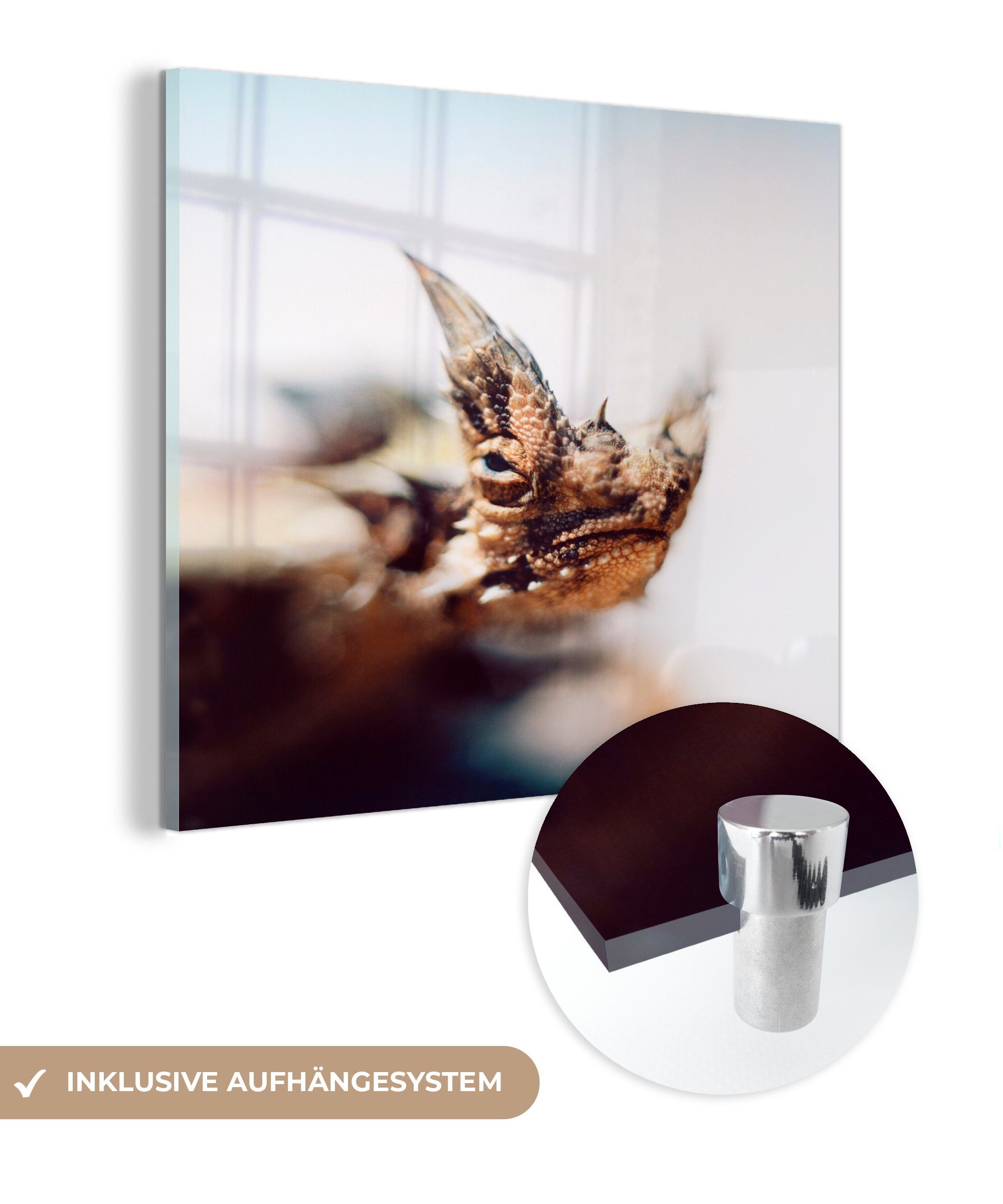 MuchoWow Acrylglasbild Bergteufel auf unscharfem Hintergrund, (1 St), Glasbilder - Bilder auf Glas Wandbild - Foto auf Glas - Wanddekoration