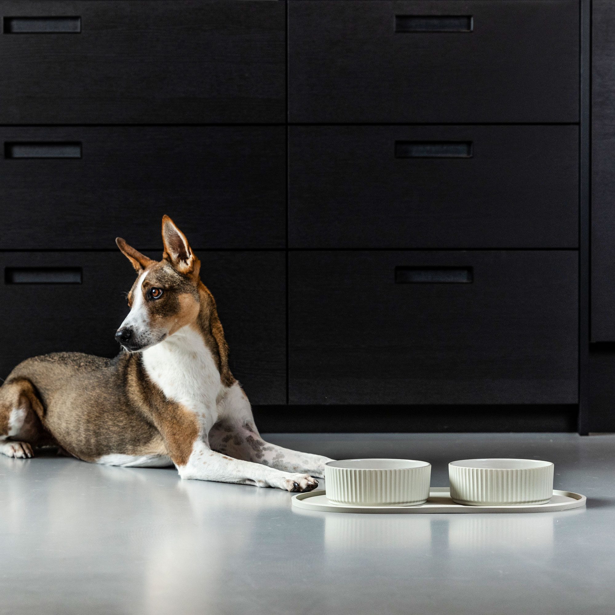 Dog Copenhagen Futternapf Dog Copenhagen Kronborg Bowl [Variation]
