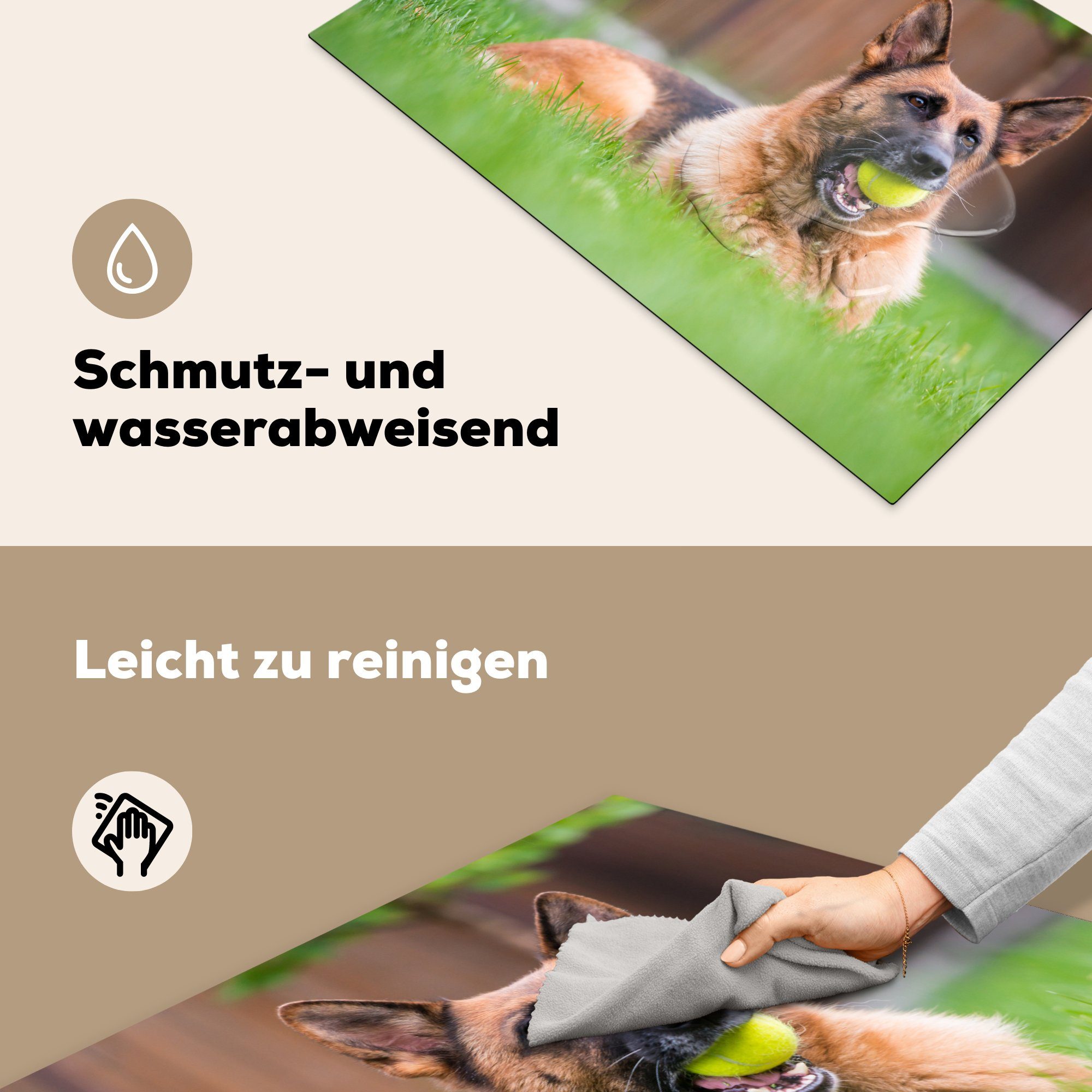 Ceranfeldabdeckung im küche, Deutscher Maul, die mit cm, Schäferhund 81x52 (1 einem Vinyl, für MuchoWow Herdblende-/Abdeckplatte tlg), Schutz Induktionskochfeld Tennisball