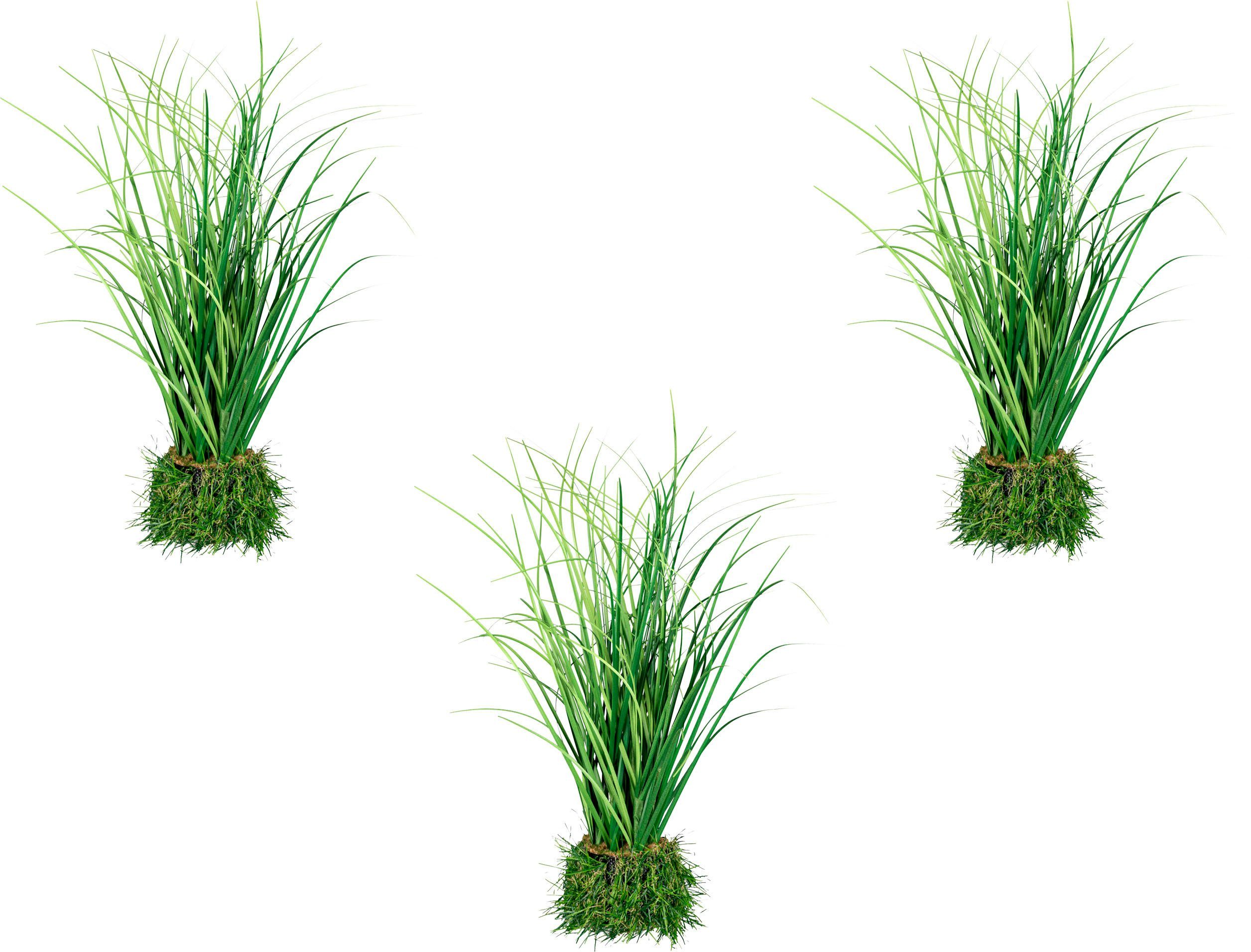 Kunstgras Grasbusch Gras, Creativ green, Höhe günstig online kaufen