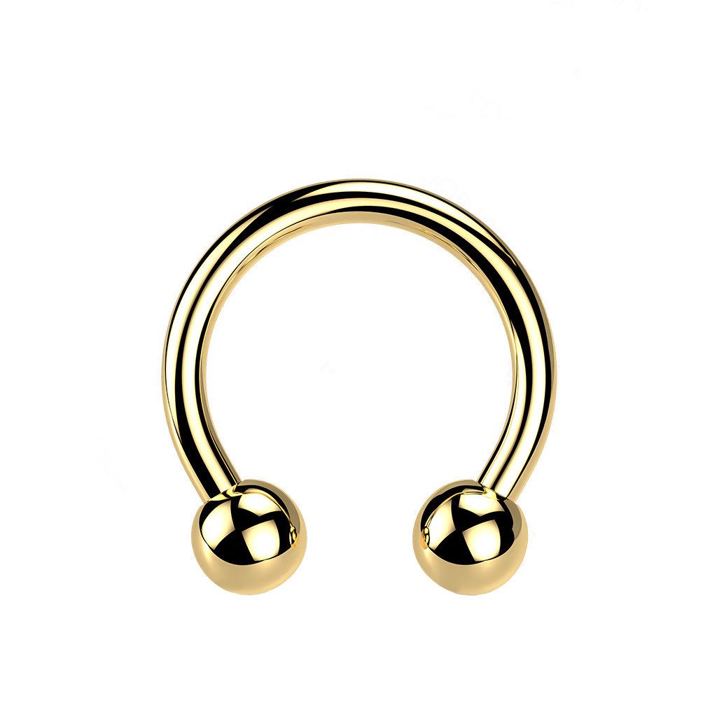 Taffstyle Nasenpiercing Titan G23 Lippenpiercing Hufeisen günstig online kaufen
