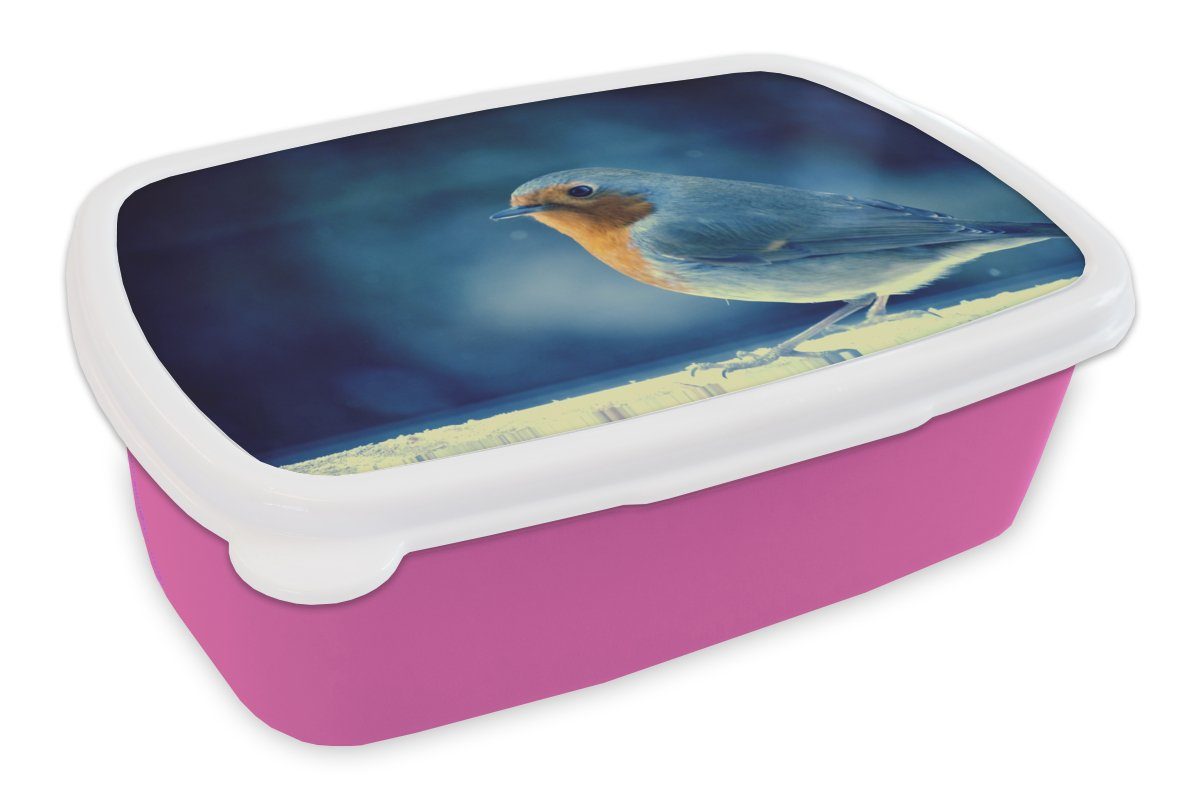 MuchoWow Lunchbox Rotkehlchen - Blau - Schnee, Kunststoff, (2-tlg), Brotbox für Erwachsene, Brotdose Kinder, Snackbox, Mädchen, Kunststoff rosa