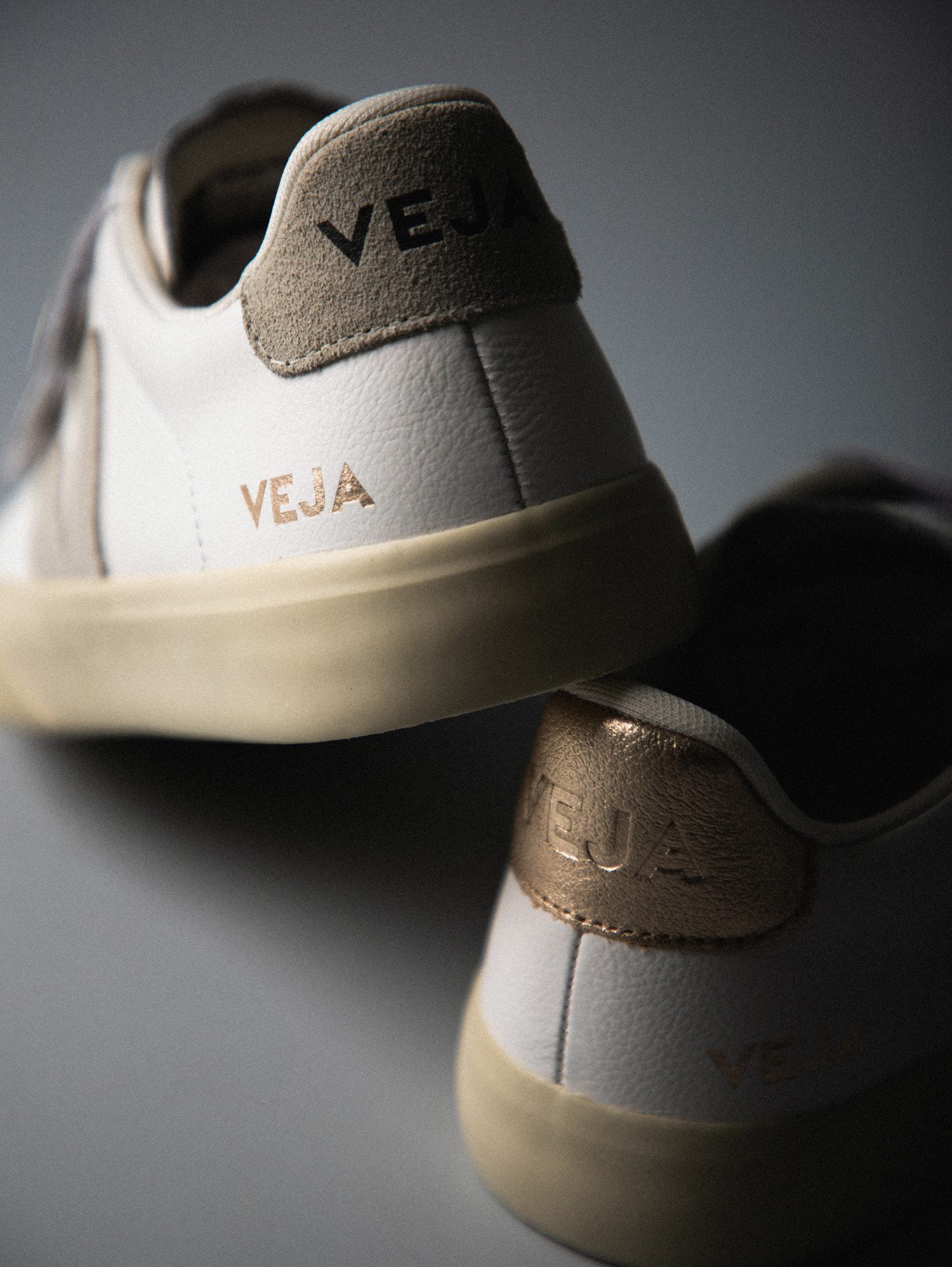 VEJA Veja Recife Logo Sneaker Sneaker