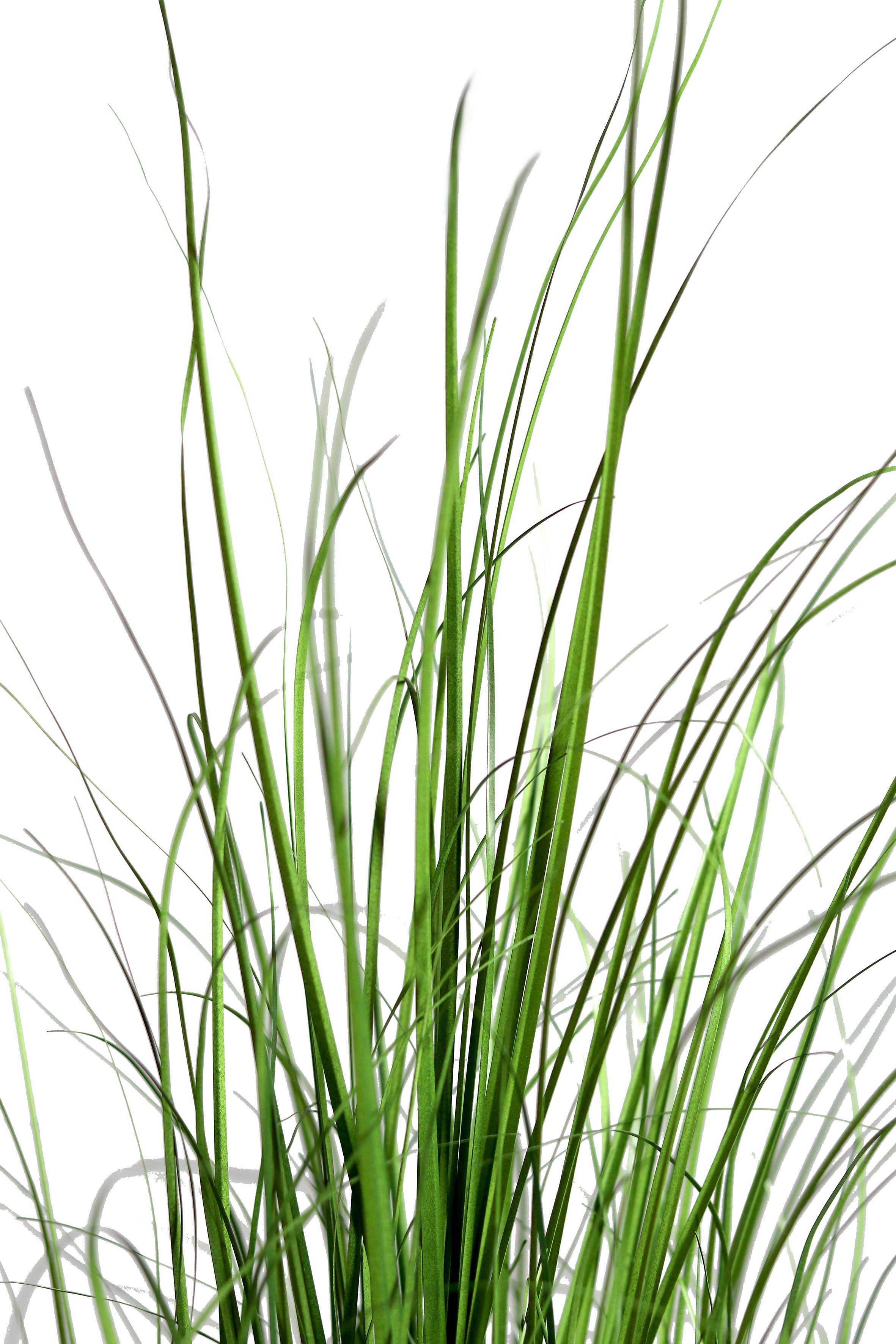 Kunstgras Gras im Topf 60/95/150 cm im schwarzer Kunststofftopf Kunstpflanze, mucPlants, Höhe 60 cm – Bild 2 von 4