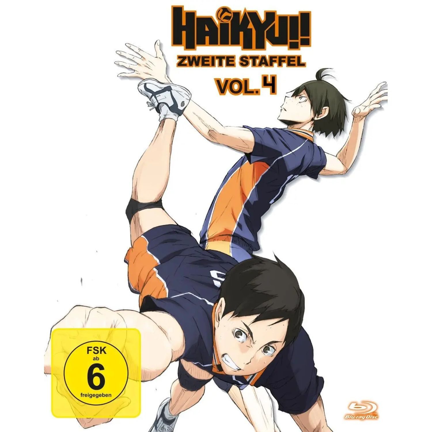 AV Visionen Blu-ray Haikyu!!