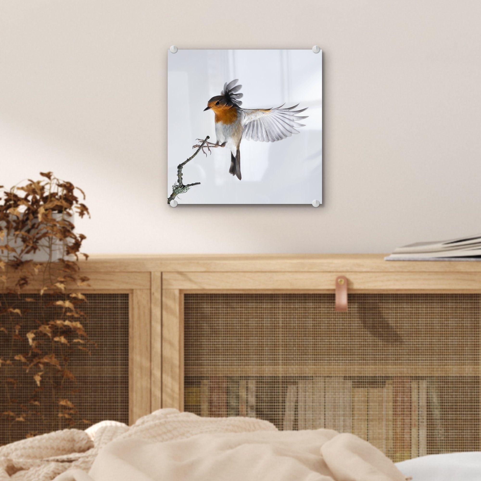 auf Wandbild Foto Glas St), (1 - MuchoWow Bilder Acrylglasbild Glasbilder Glas auf - Wanddekoration - Vogel, Nahaufnahme