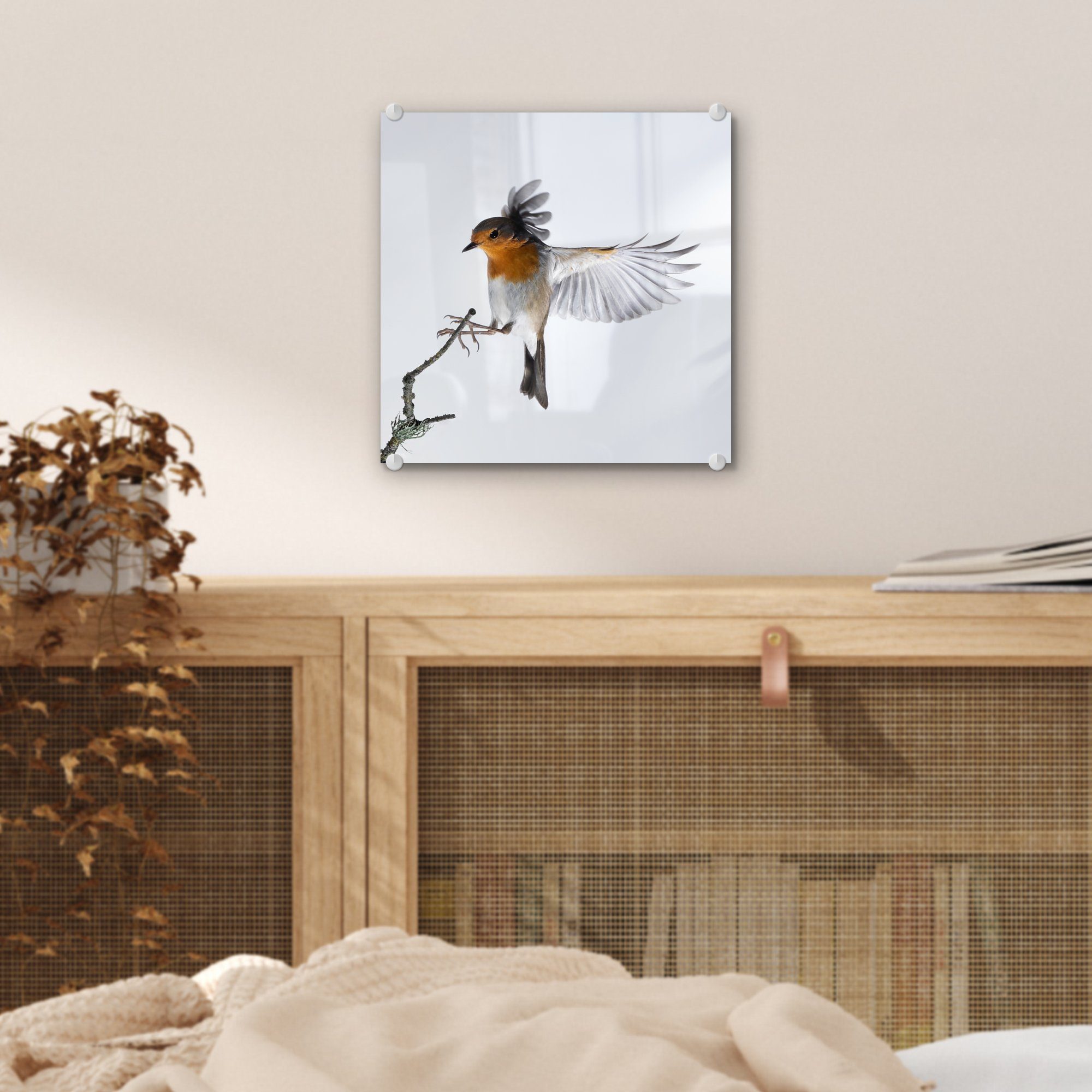 - - Glasbilder Bilder - Foto Glas Wanddekoration MuchoWow auf Wandbild auf Acrylglasbild St), (1 Vogel, Glas Nahaufnahme