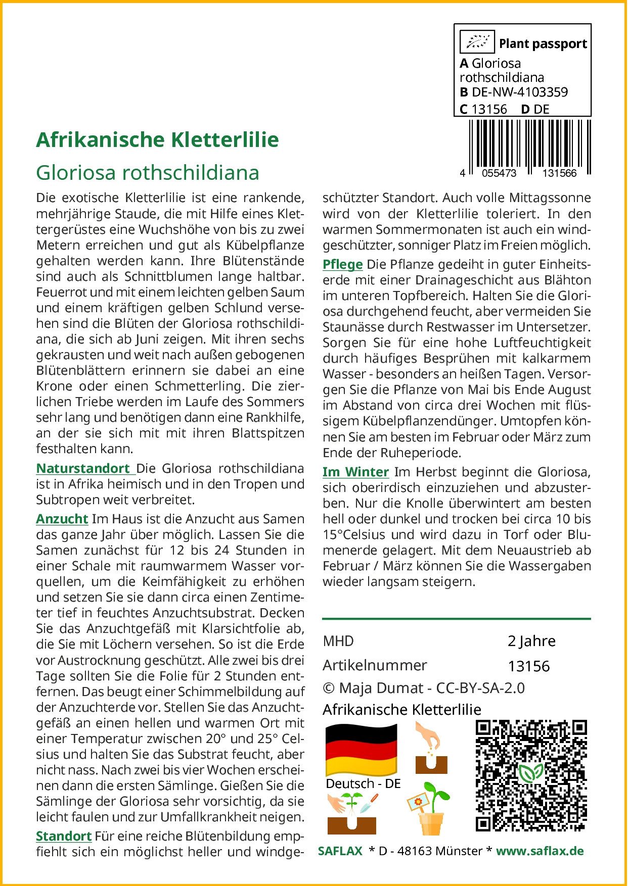 SAFLAX Blumensamen SAFLAX - Afrikanische Kletterlilie günstig online kaufen