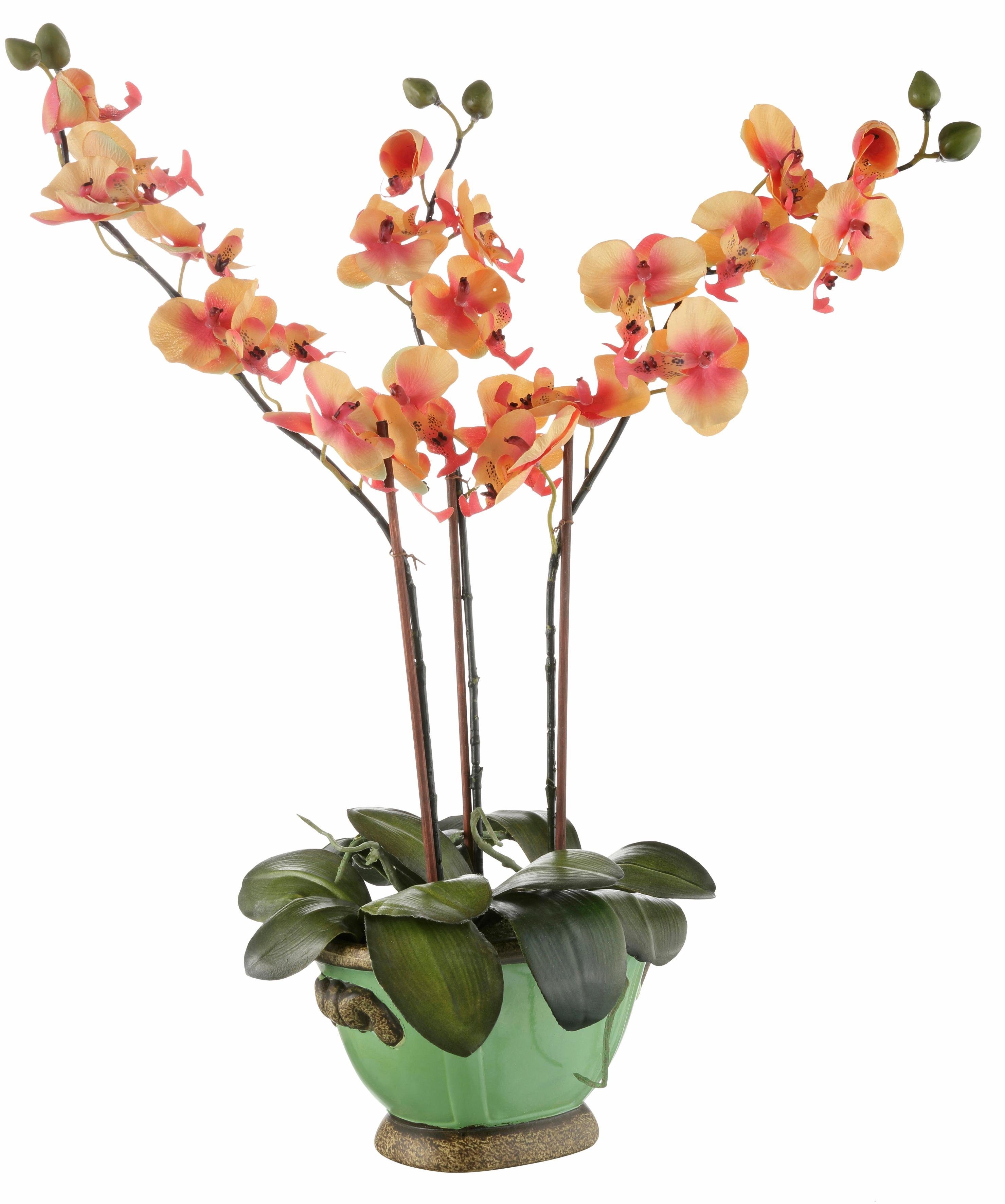 Kunstpflanze Orchidee Phalaenopsis, I.GE.A., Höhe 60 günstig online kaufen
