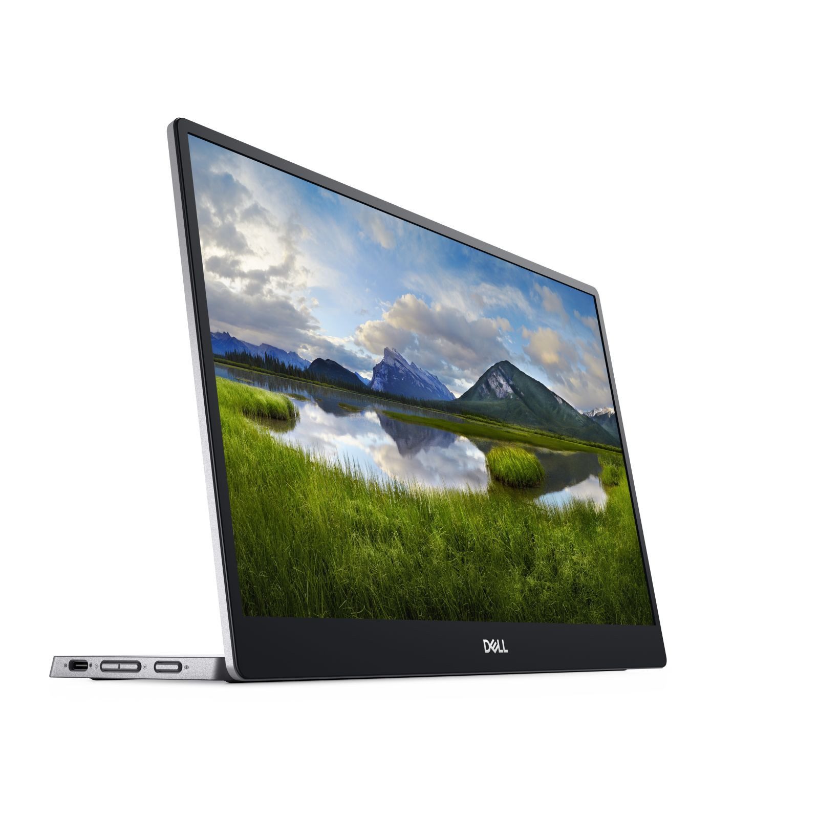 Dell Portable LED P1424H - 35.56 cm (14) - 1920 x 1080 Full HD TFT-Monitor (1920 x 1080 px, Full HD, 6 ms Reaktionszeit, 60 Hz, IPS, Touchscreen, HDCP)