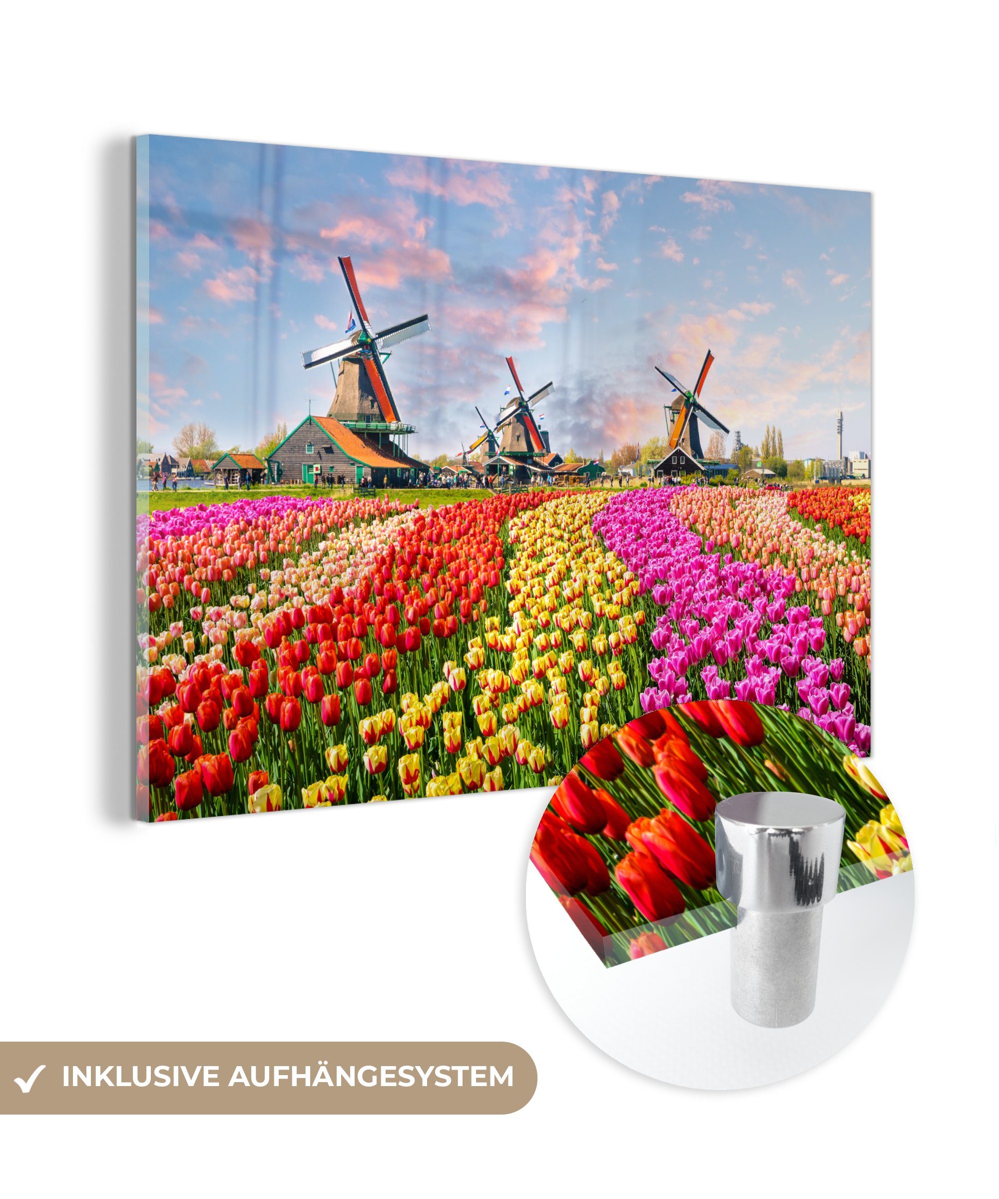 MuchoWow Acrylglasbild Windmühle - Blumen - Zaanstad, (1 St), Acrylglasbilder Wohnzimmer & Schlafzimmer