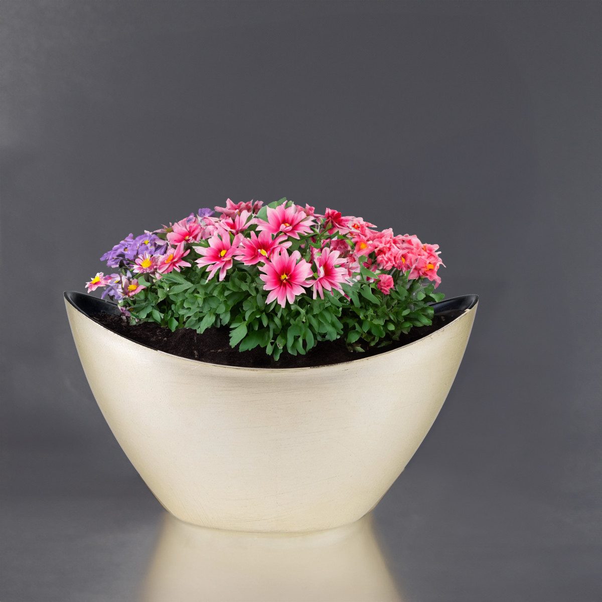 matches21 HOME & HOBBY Blumentopf Pflanzschale Jardiniere oval 24 cm Vintage gold-farben für aussen (1 St), Outdoor Schiff Deko-Schale als Blumen-Schale Pflanz-Topf Garten-Deko