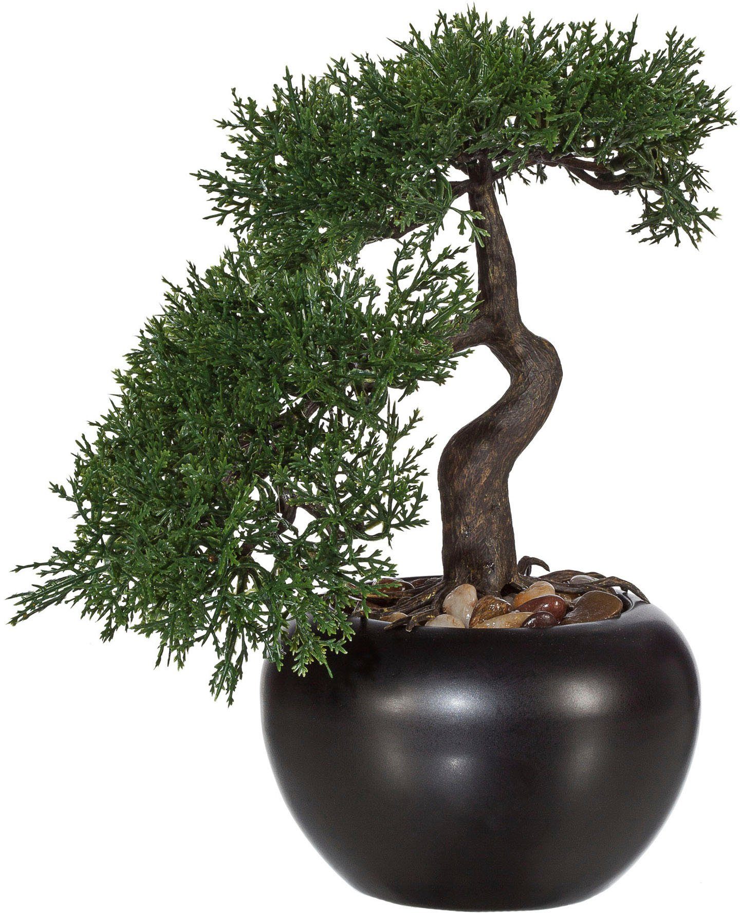 Kunstbonsai Bonsai Zeder im Keramiktopf Bonsai Zeder, Creativ green, Höhe  25 cm