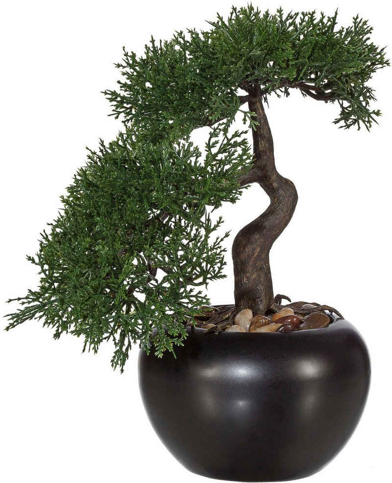 Kunstbonsai Bonsai Zeder im Keramiktopf Bonsai Zeder, Creativ green, Höhe 25 cm