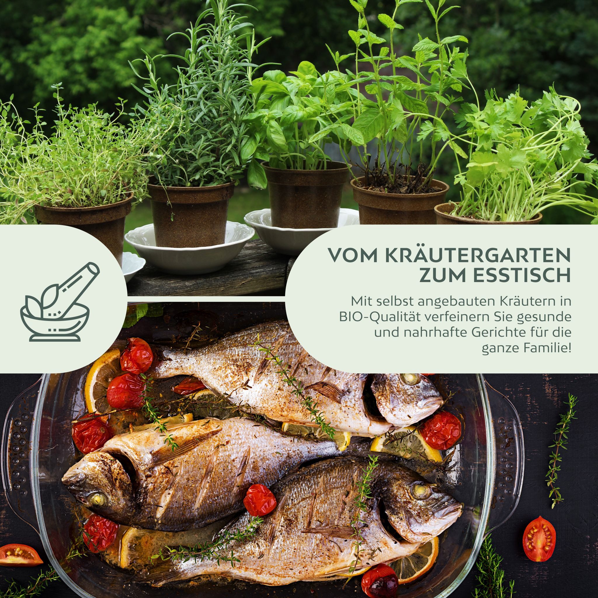 Growgreens Kräutersamen BIO Kräutersamen Set - Küchenkräuter Anzuchtset aus bio. Anbau