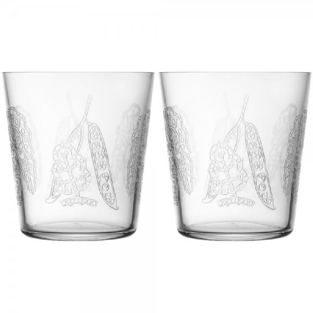 IITTALA Leerglas Trinkgläser-Set Taika Sato Glas Klar (2-teilig)