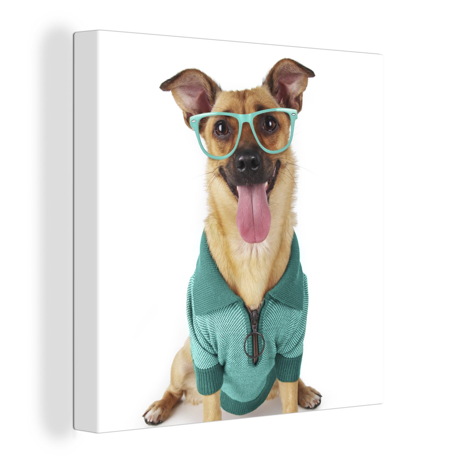 OneMillionCanvasses® Leinwandbild Hund - Brille - Hemd - Hipster, (1 St), Leinwand Bilder für Wohnzimmer Schlafzimmer